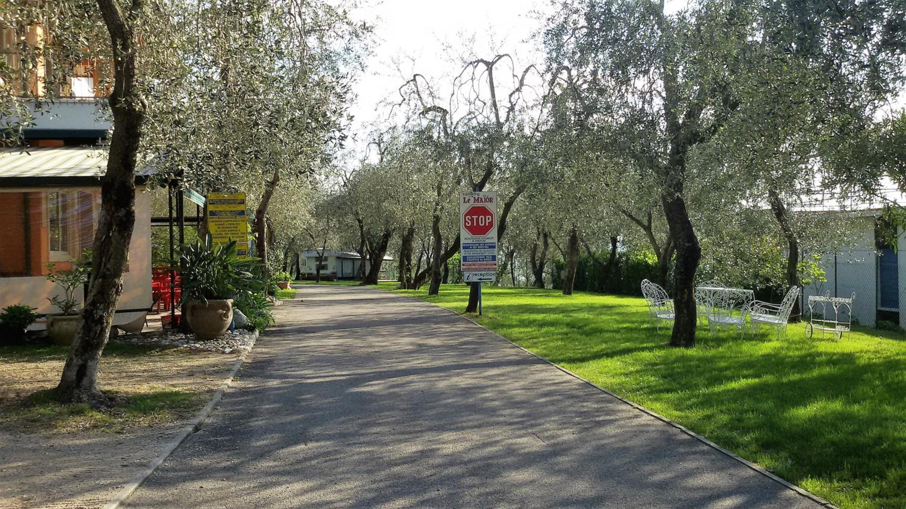 Camping Le Maior view 4