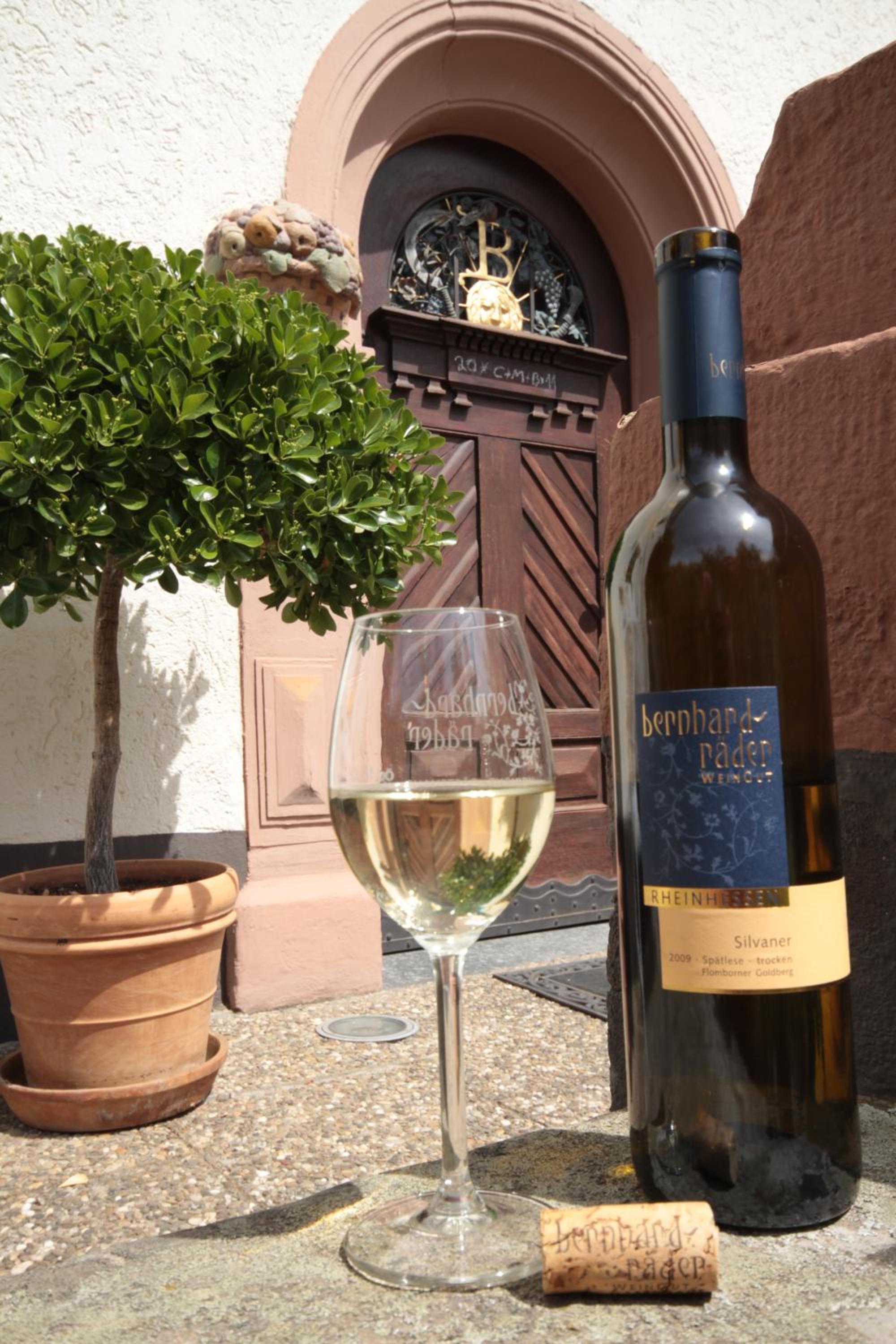 Bio-Weingut, Gästehaus und Kräuterhof
