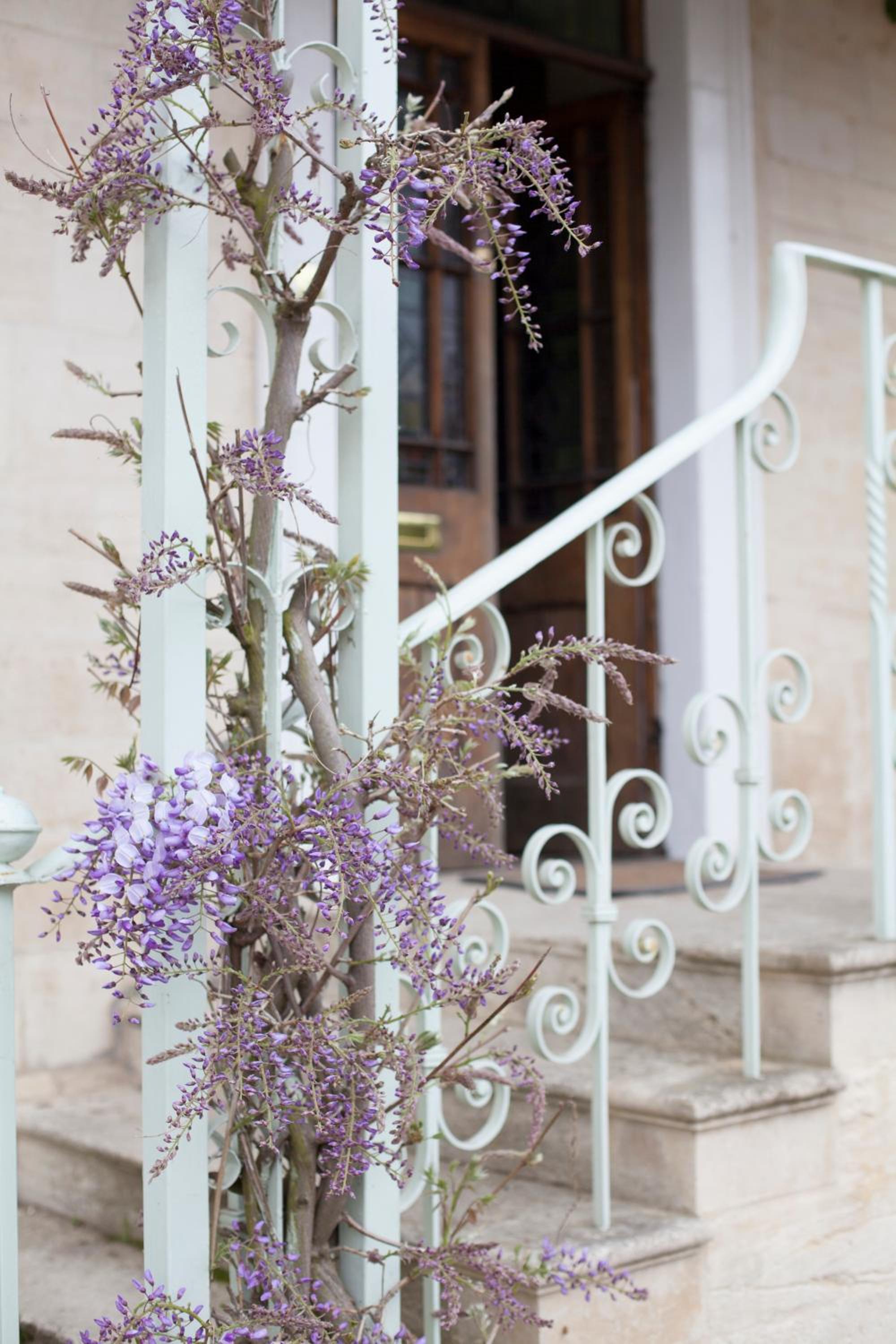 Stroud Vacations - Grigshot Apartment - Property Image 4