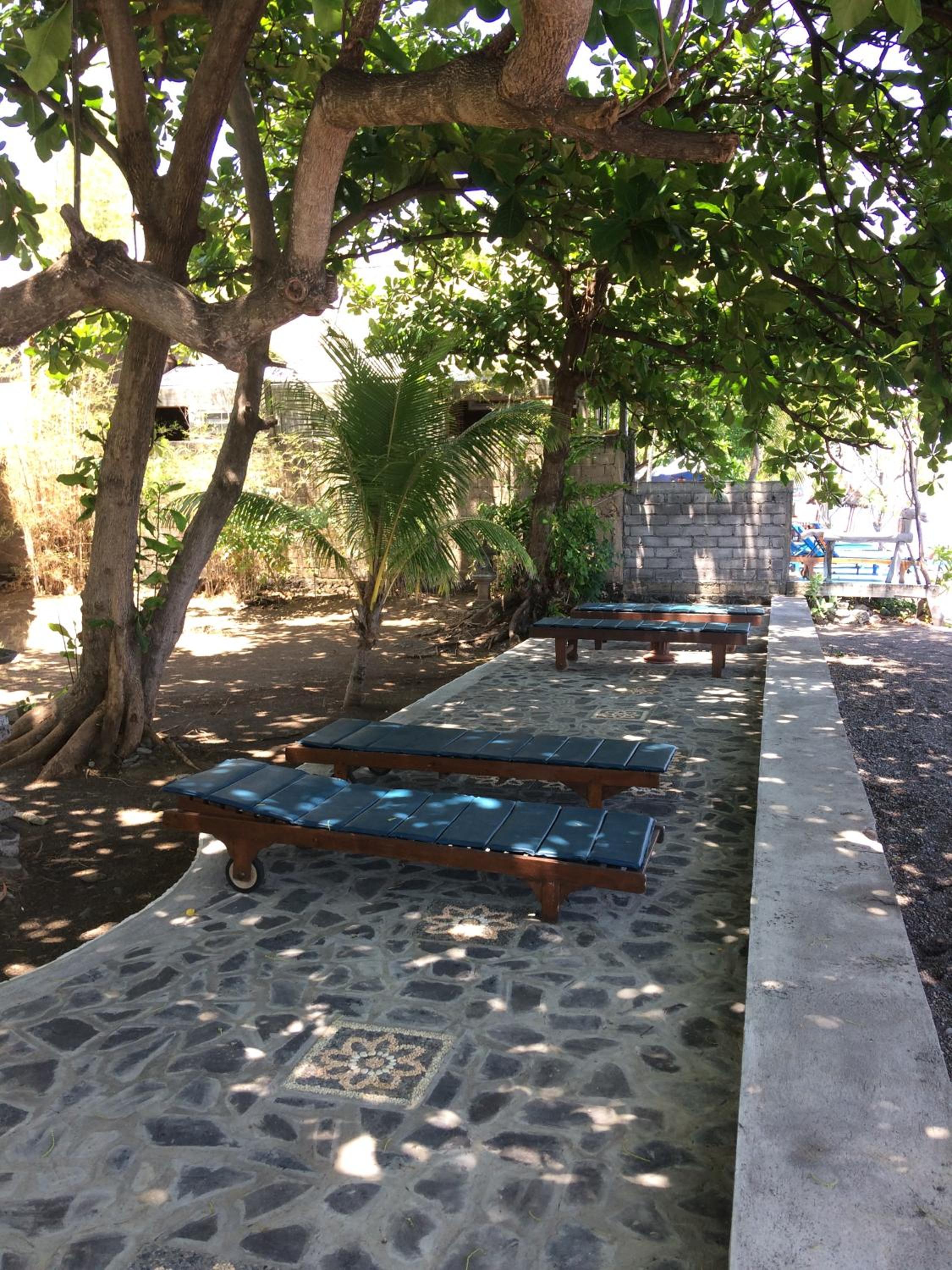 Photo 41