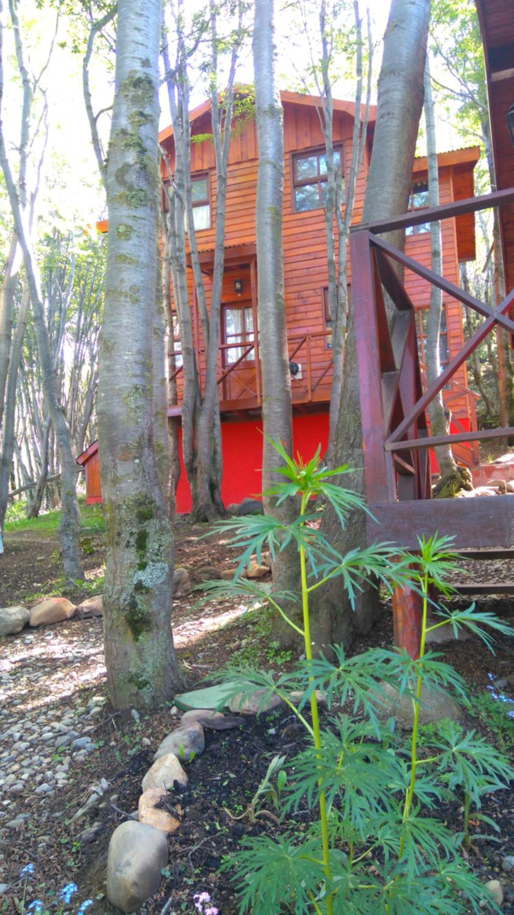 Cabañas Bosque Del Faldeo