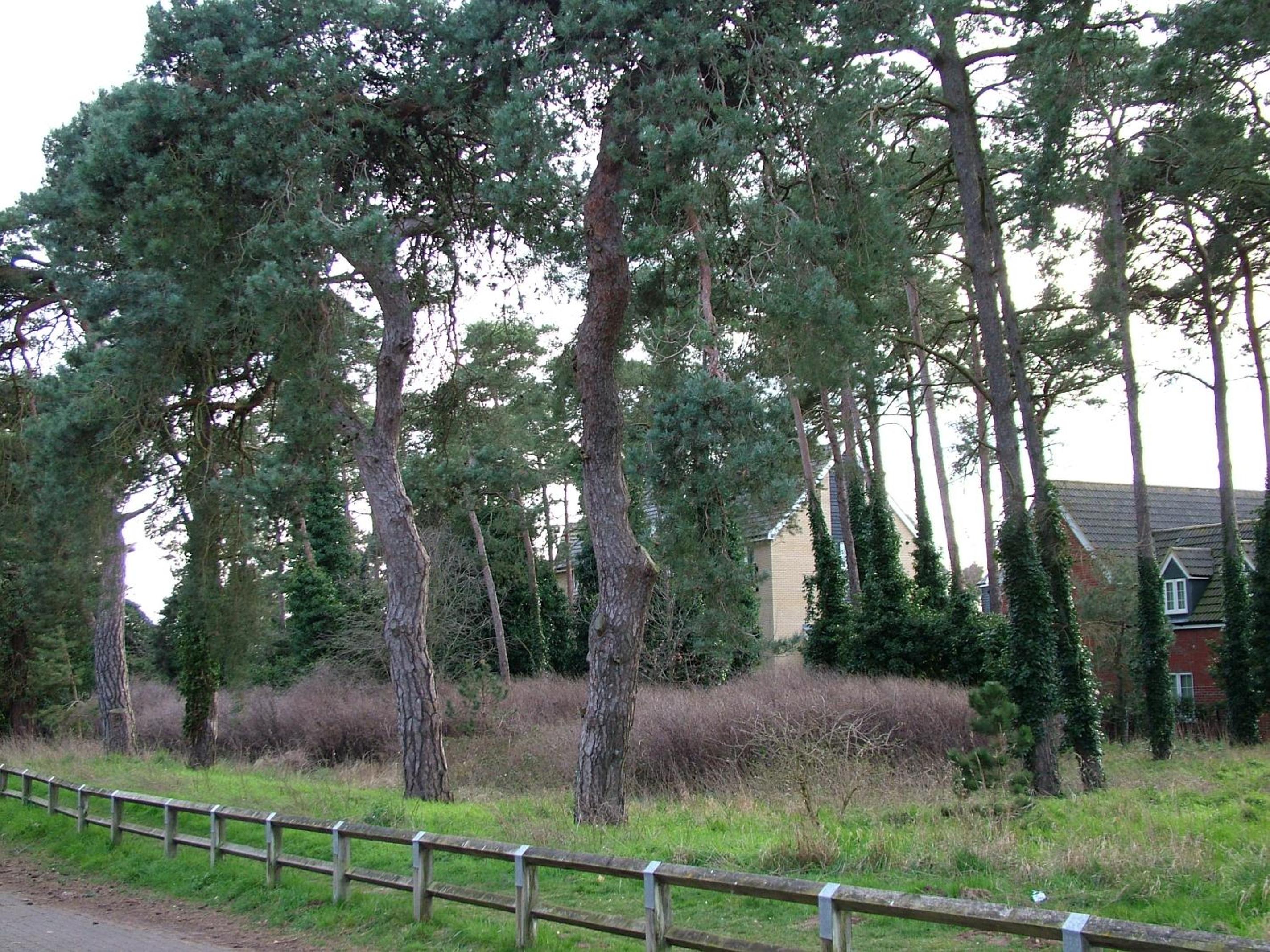 Thistle Cottage