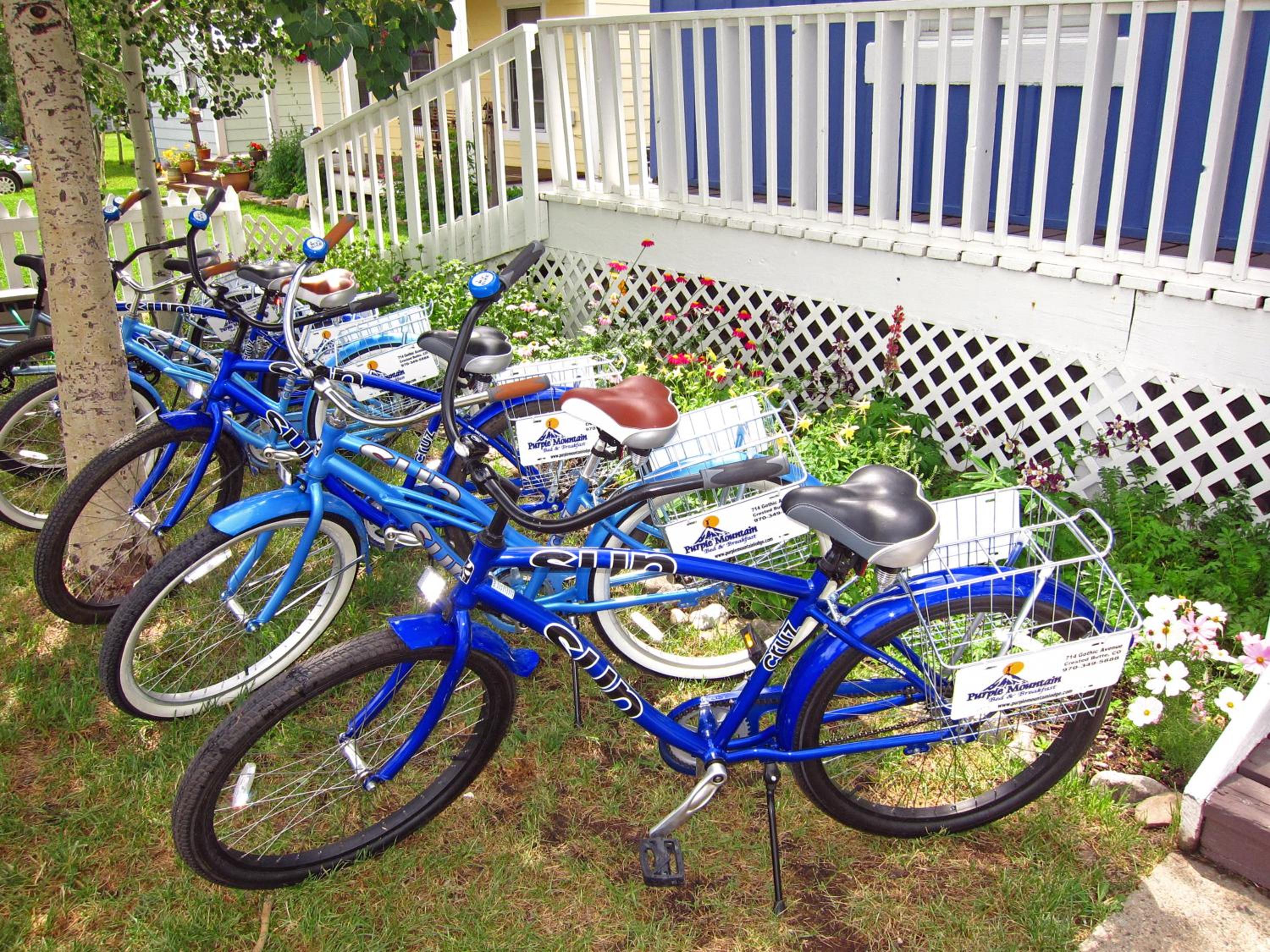 Purple Mountain Bed & Breakfast & Spa