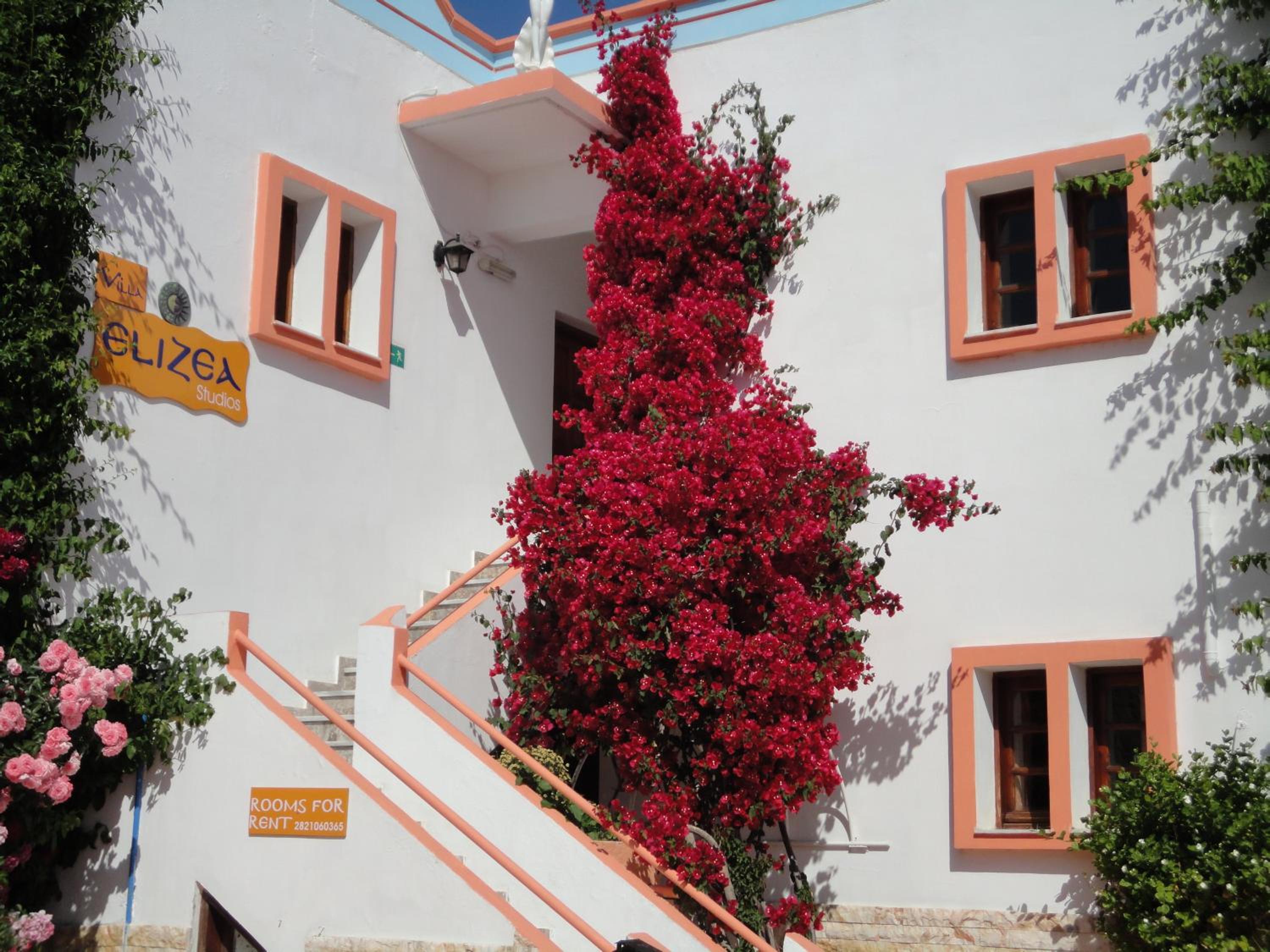 Photo 28
