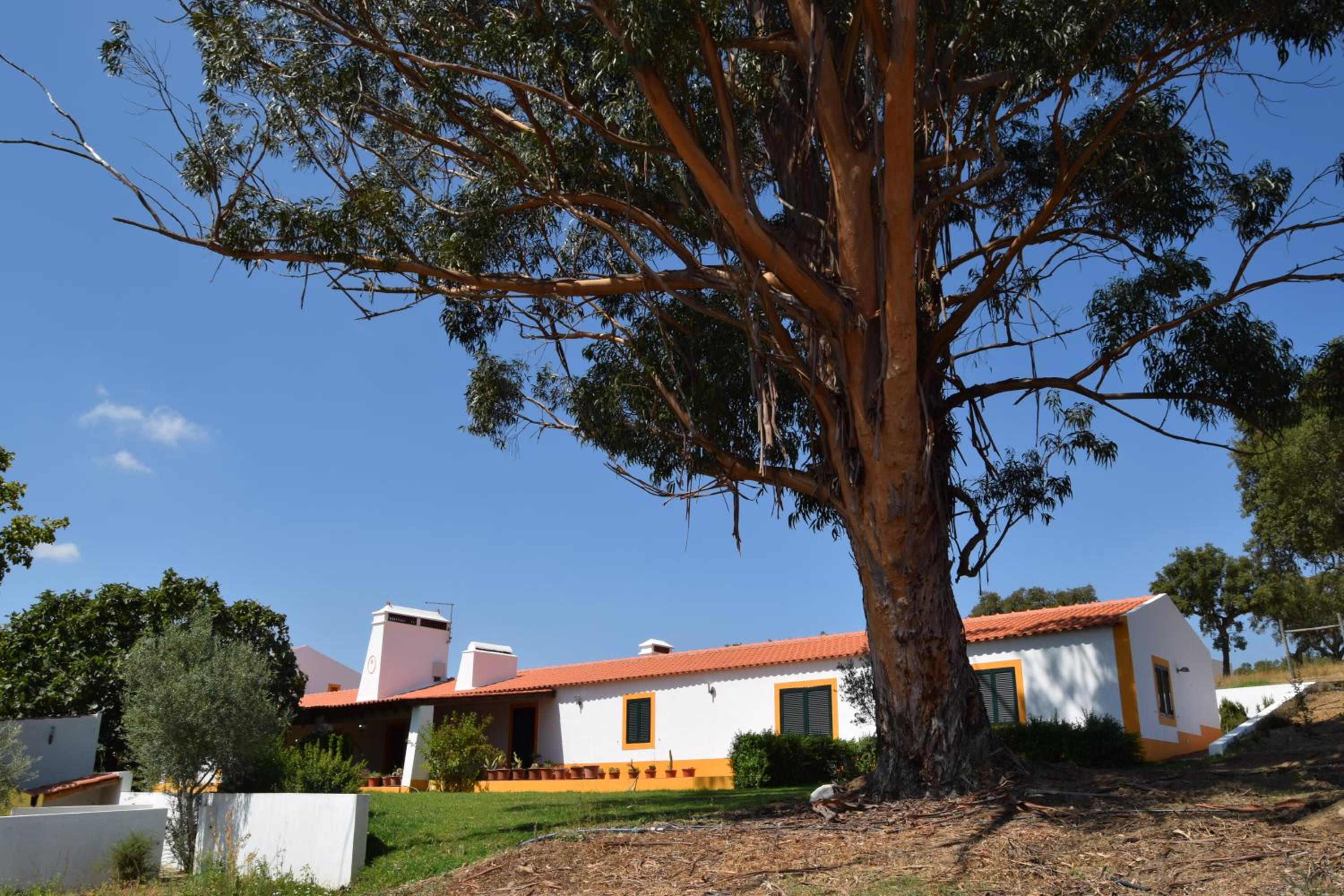 Quinta da Aurora view 2