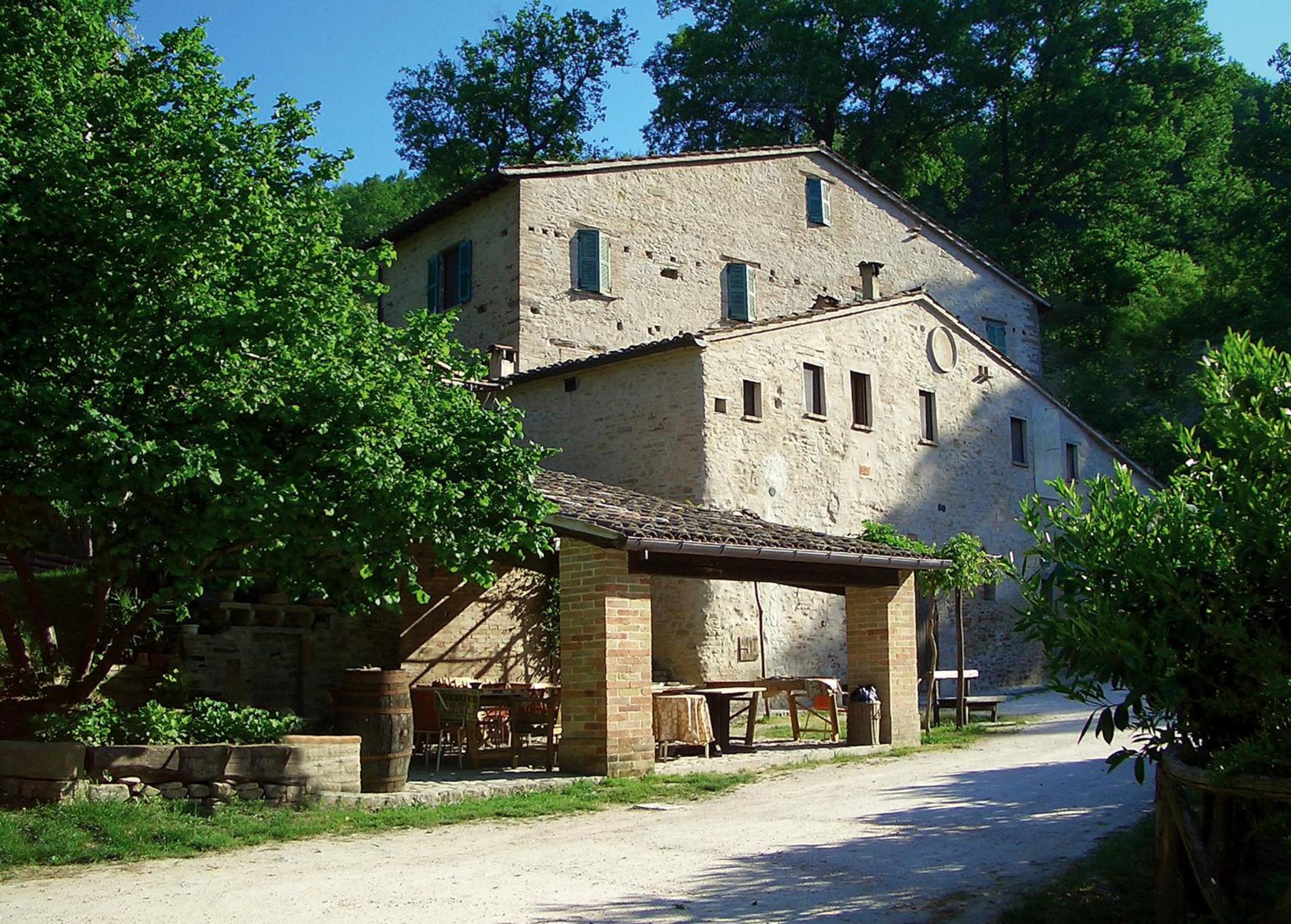 Photo 41