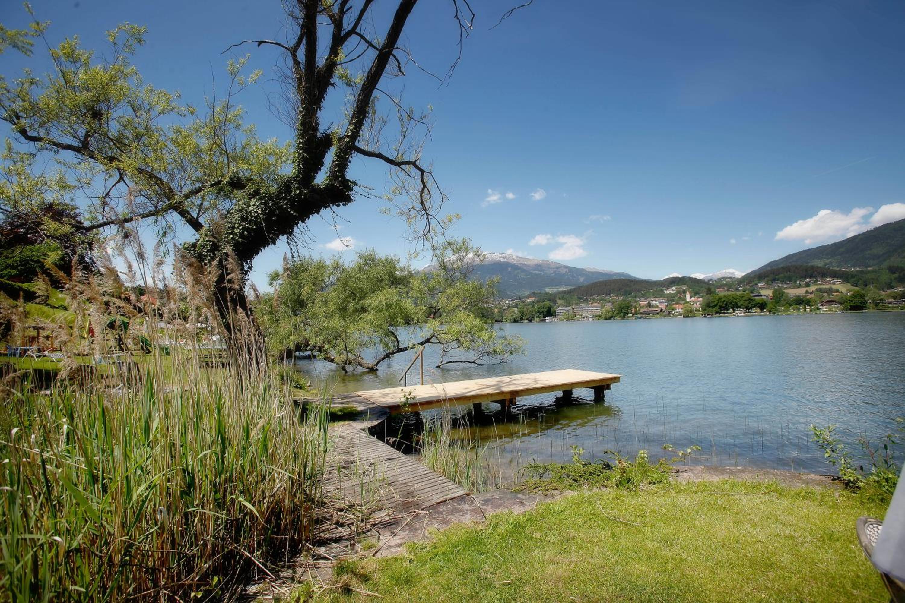 Waldstrand Berger