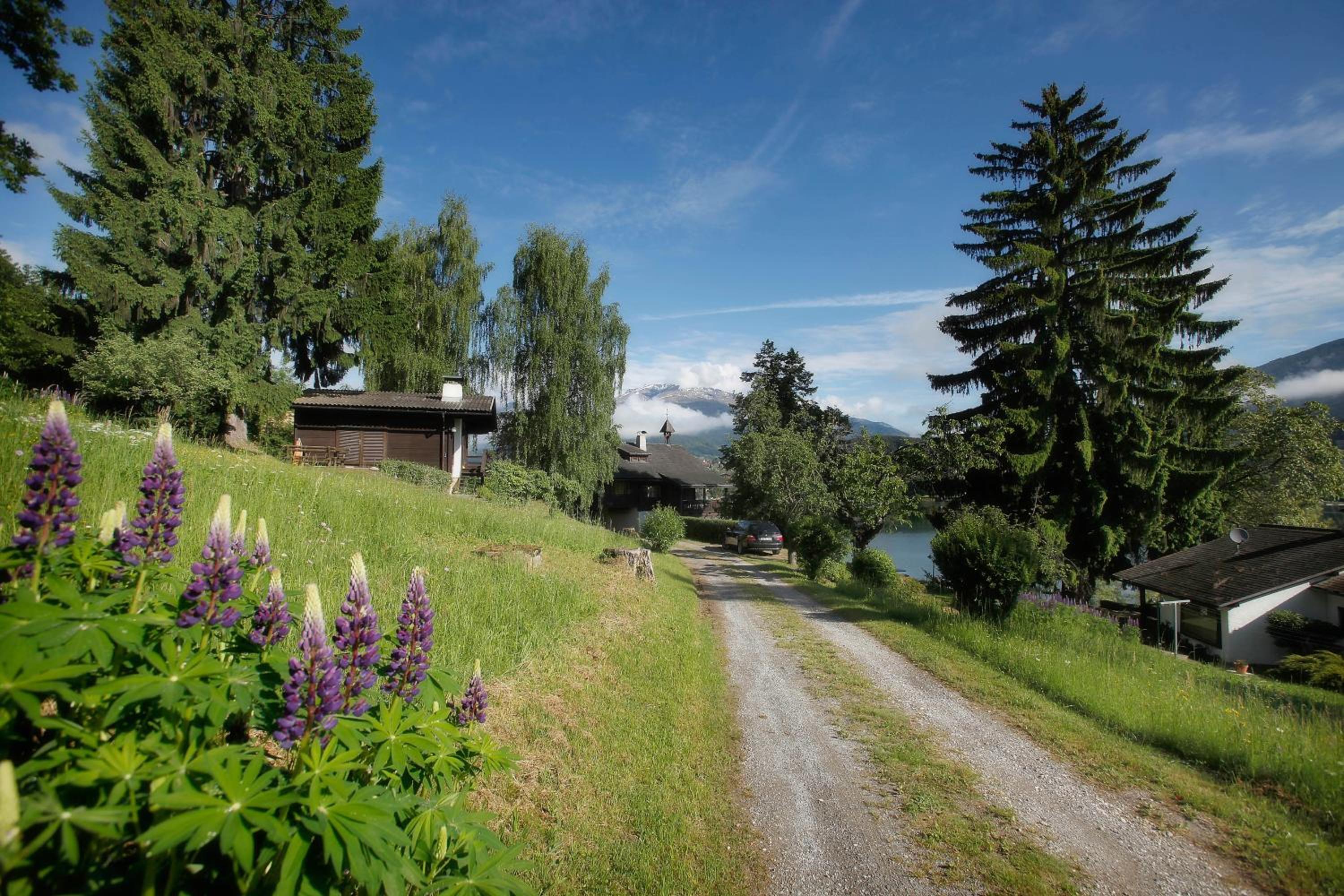 Waldstrand Berger