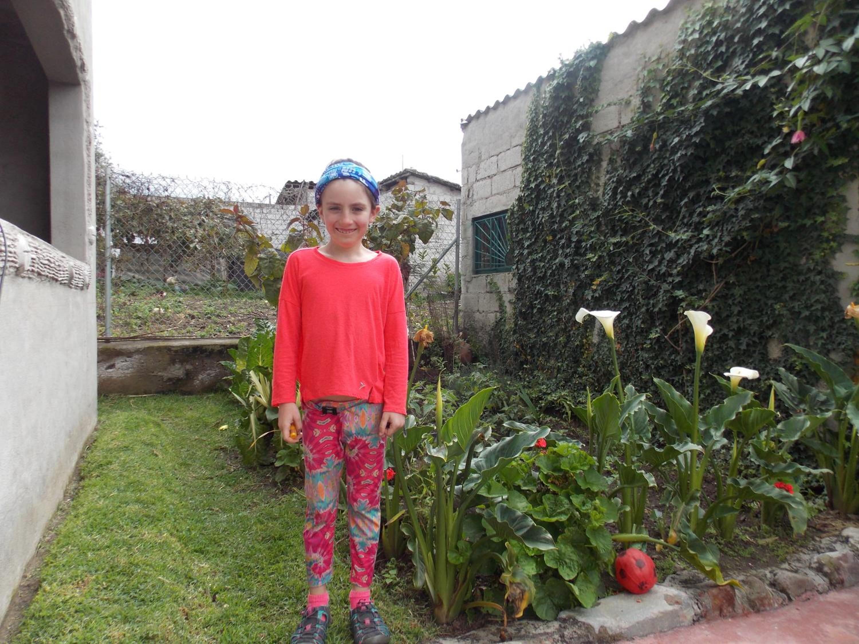 Green House Araque Inn