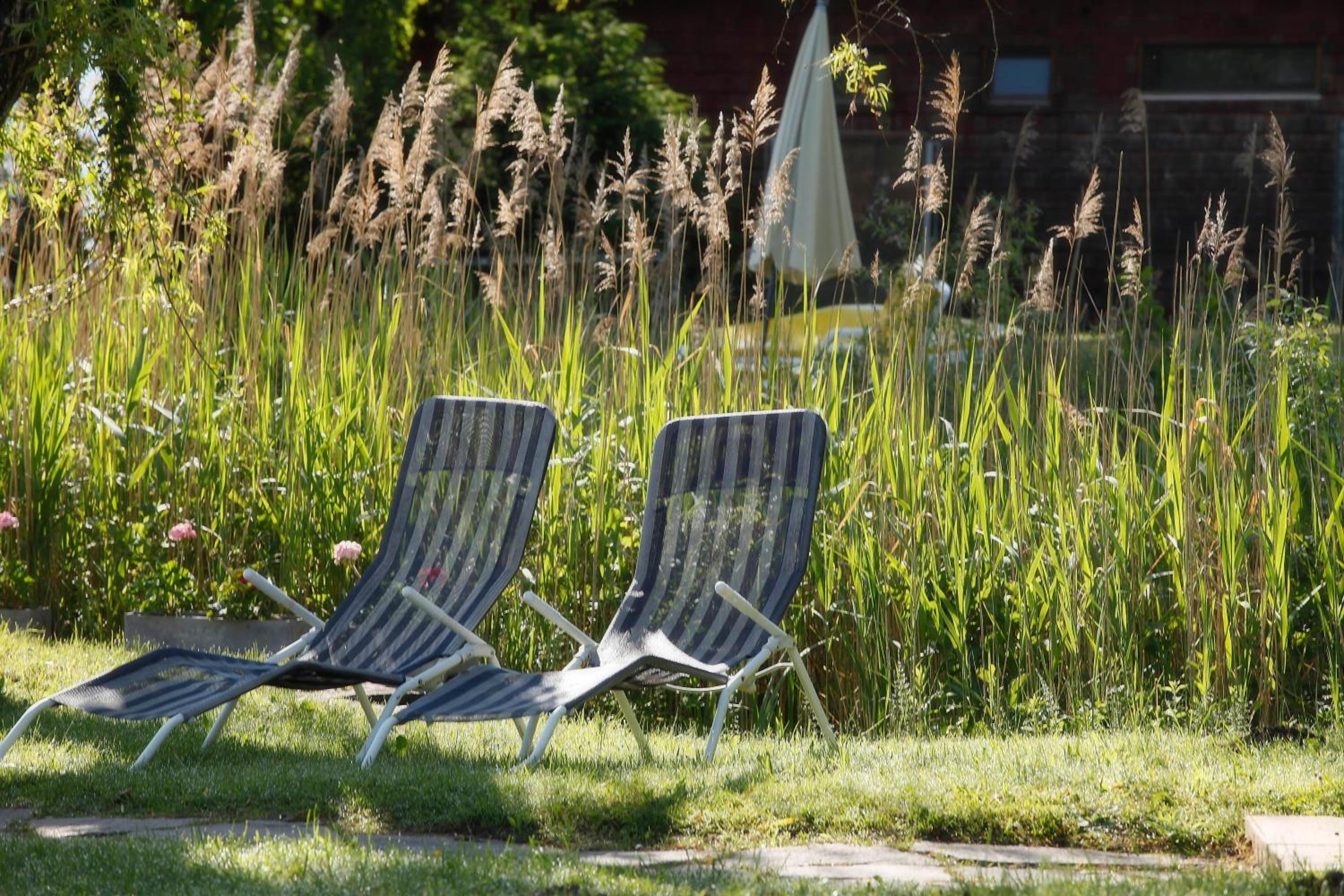 Waldstrand Berger