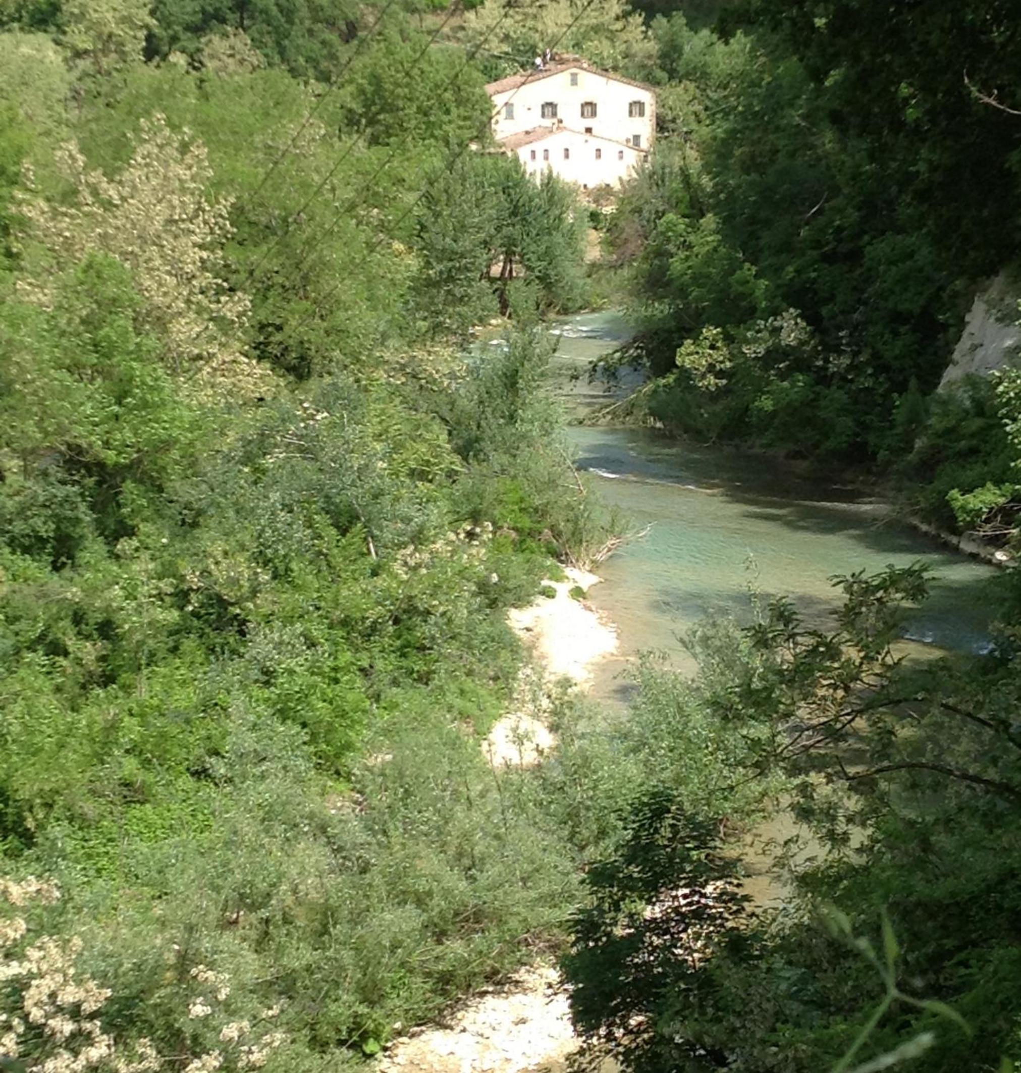 Photo 45