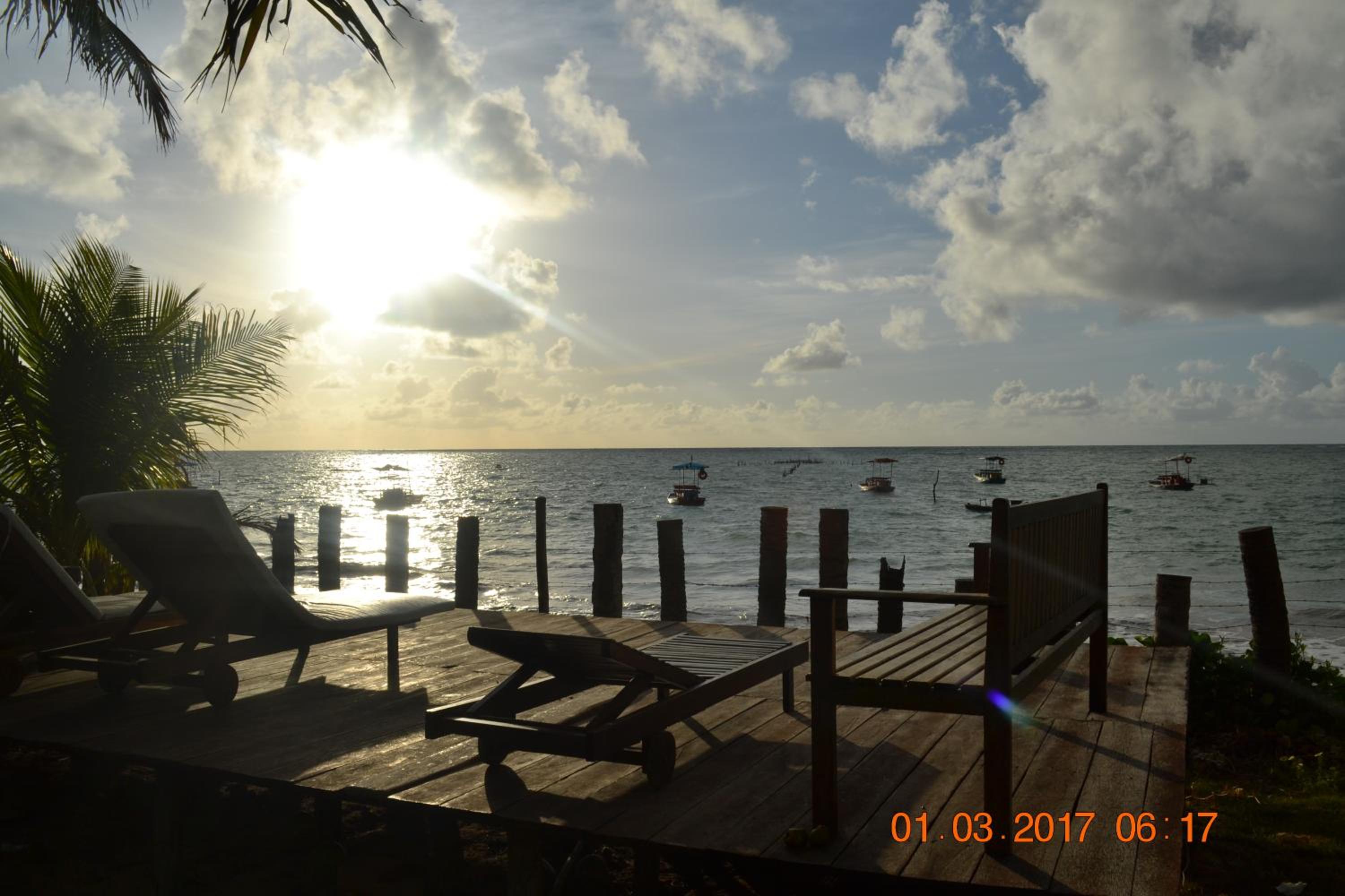 Photo 44