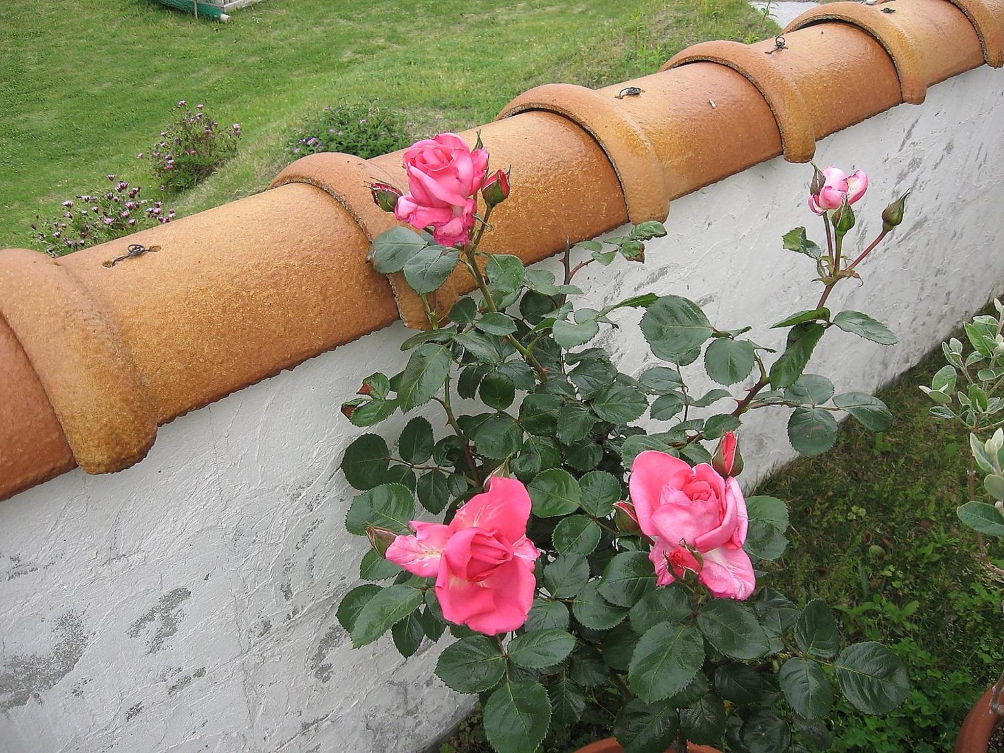 Photo 39