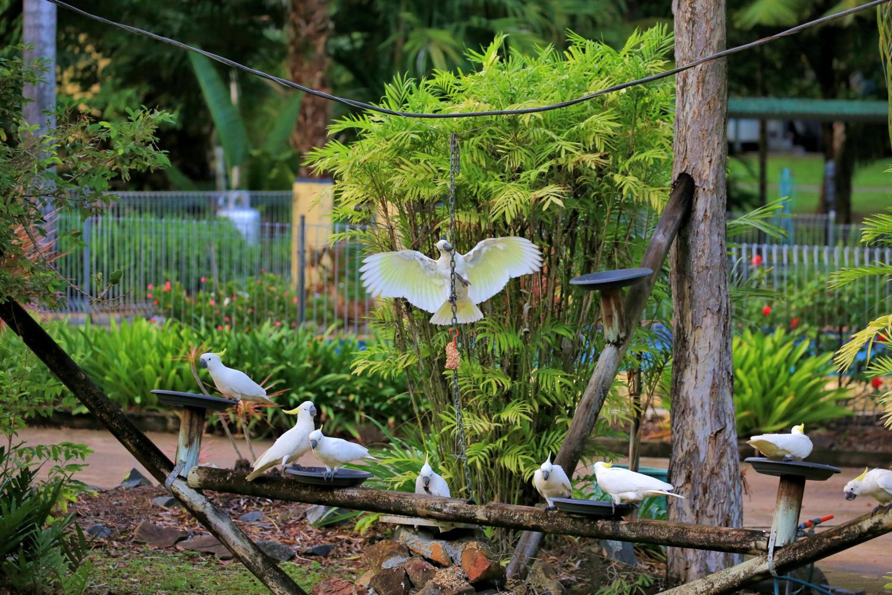 BIG4 Whitsunday Islands Holiday Park