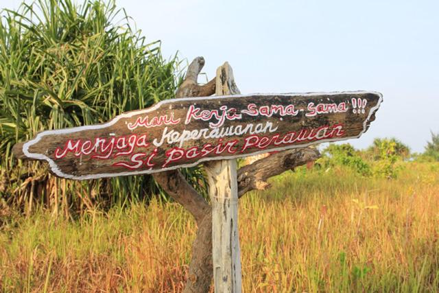 Pari Solata Seaview Homestay Syariah