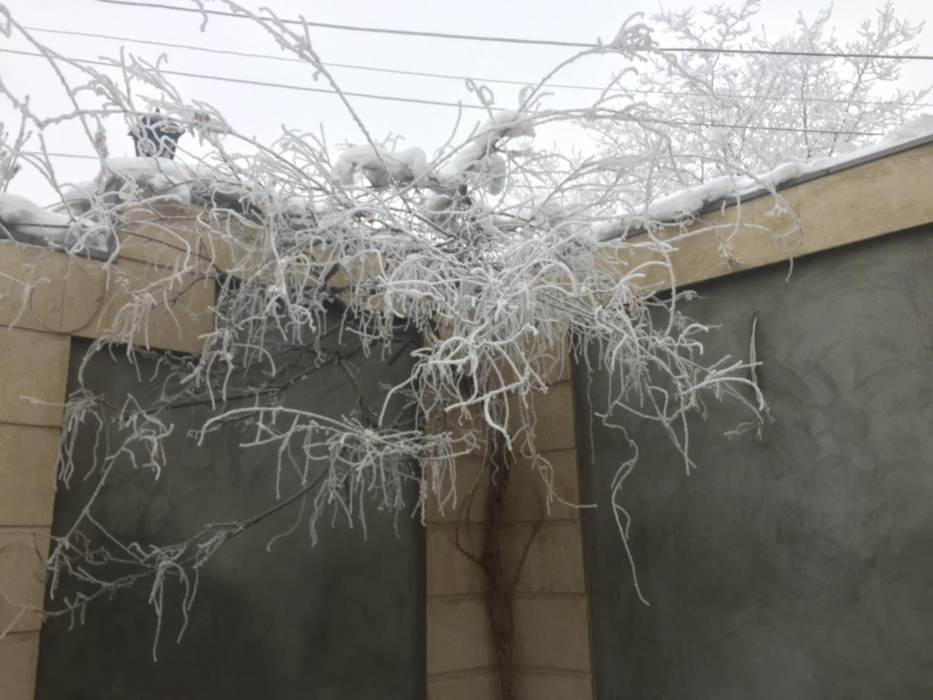 Yerevan Guest House