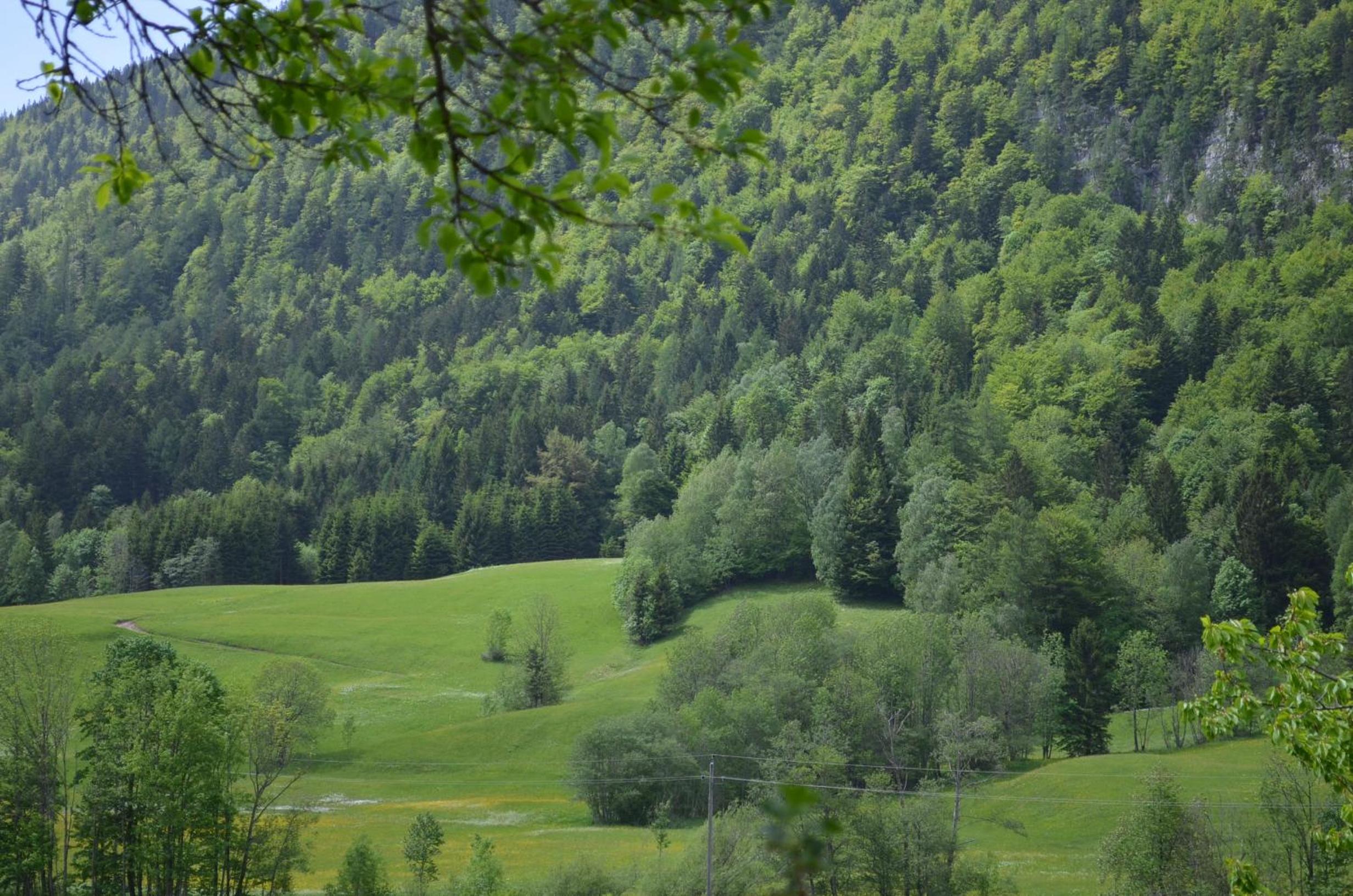 Bauernhof König