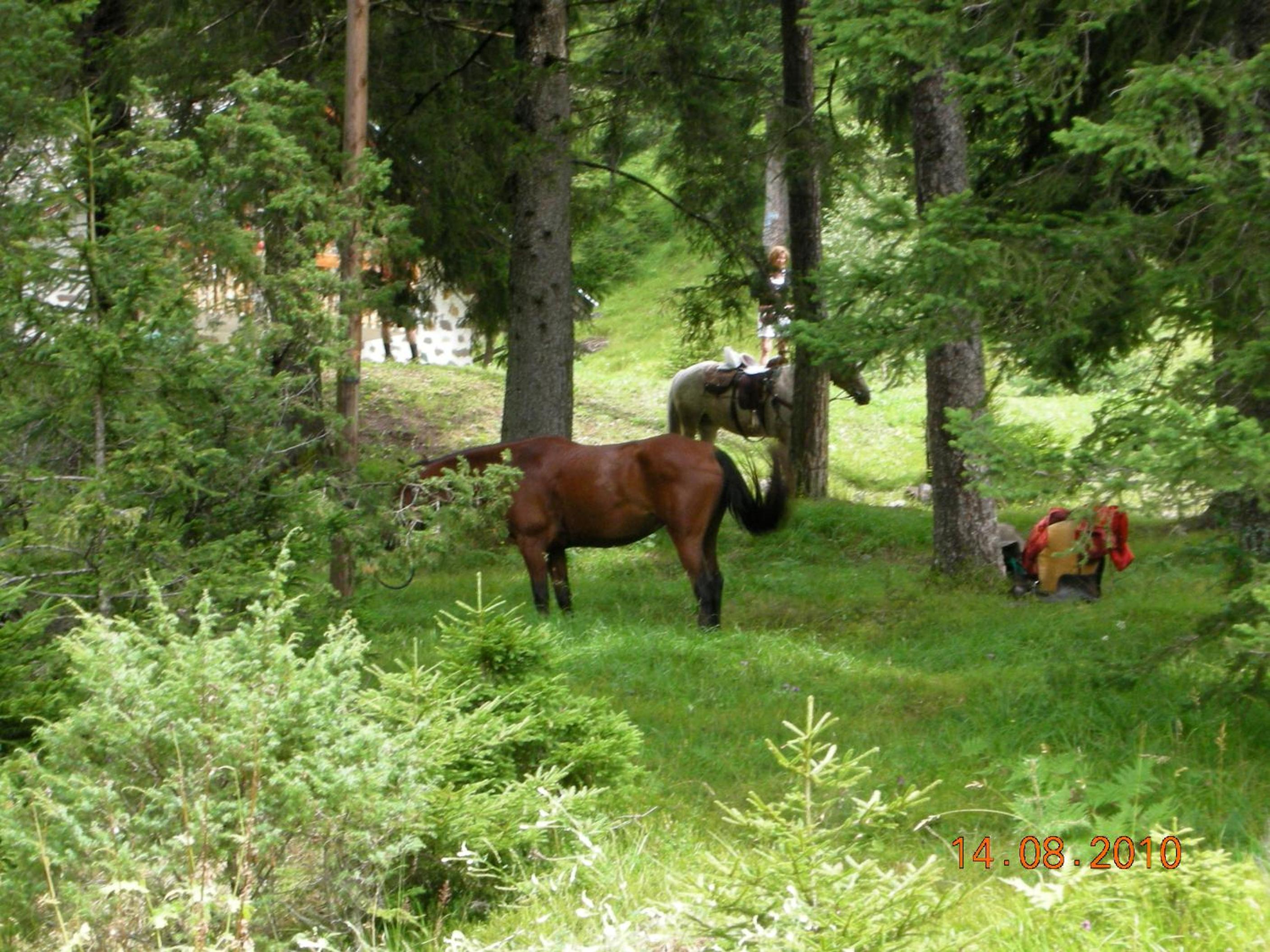 Photo 27