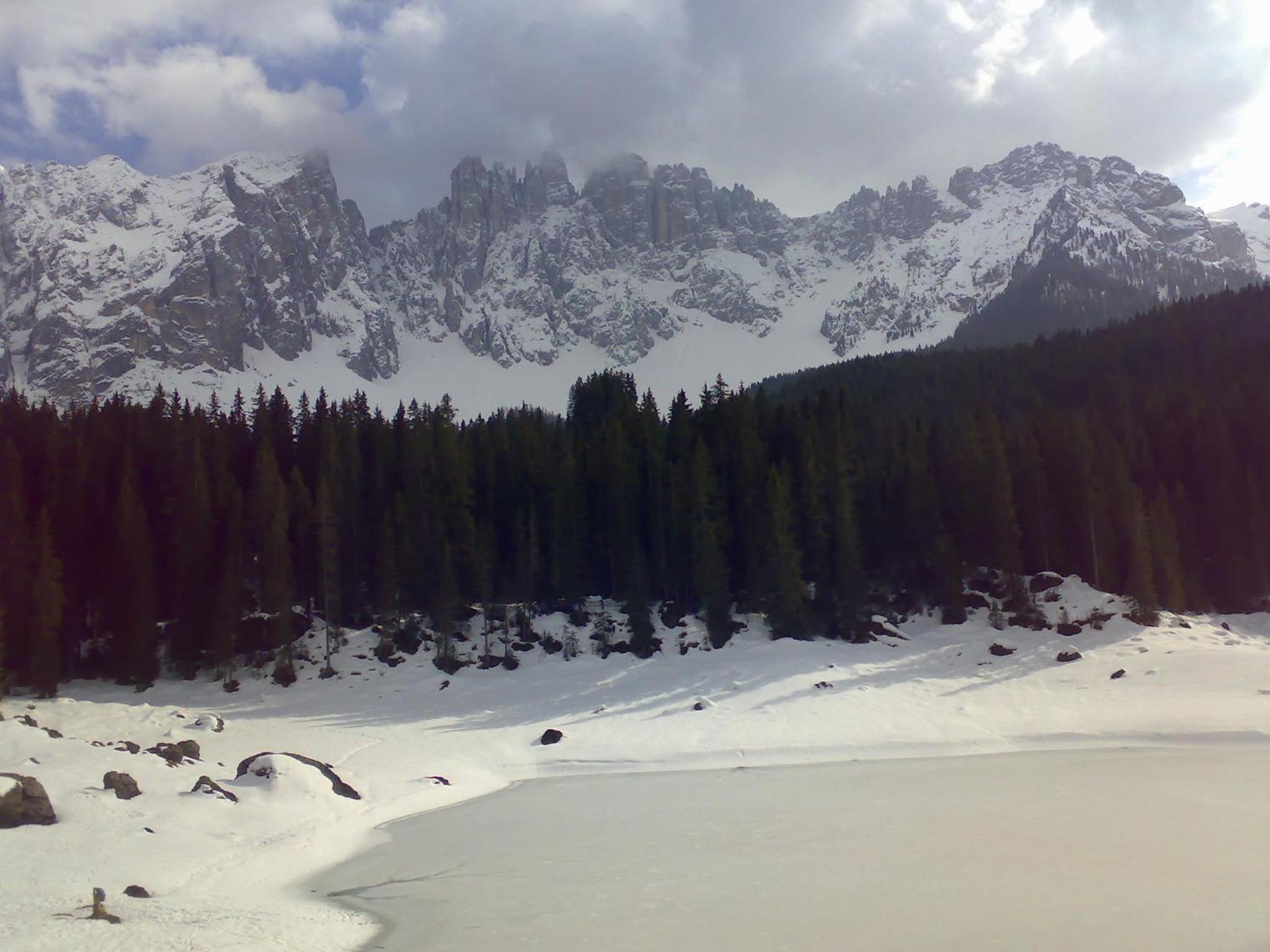 Photo 50