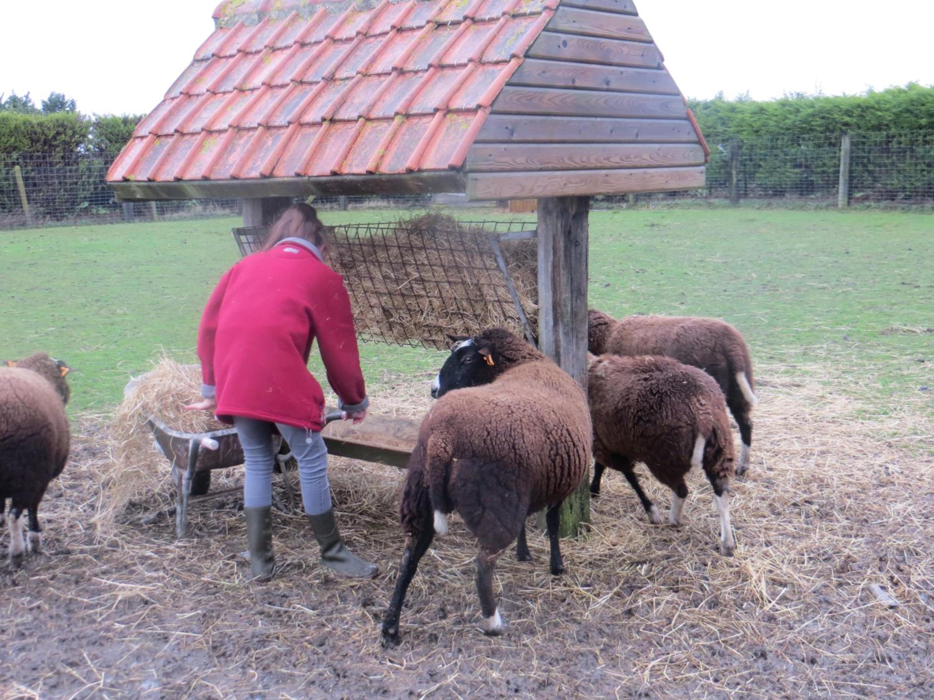 B&B 't Hannonshof