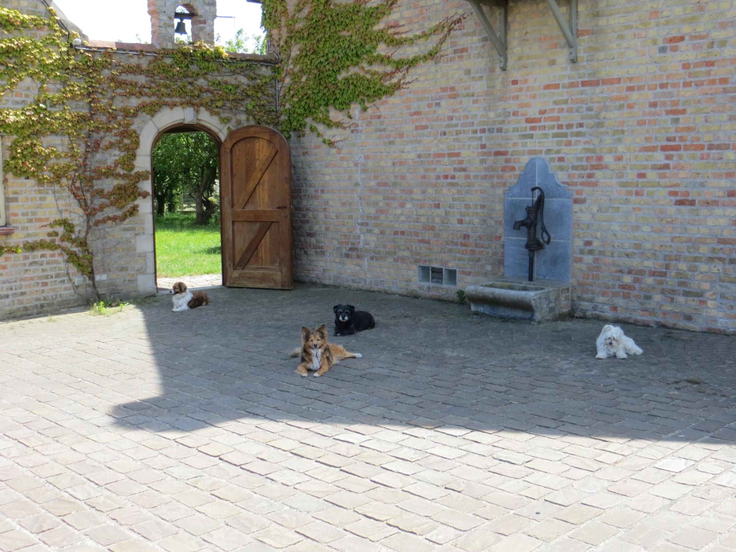B&B 't Hannonshof