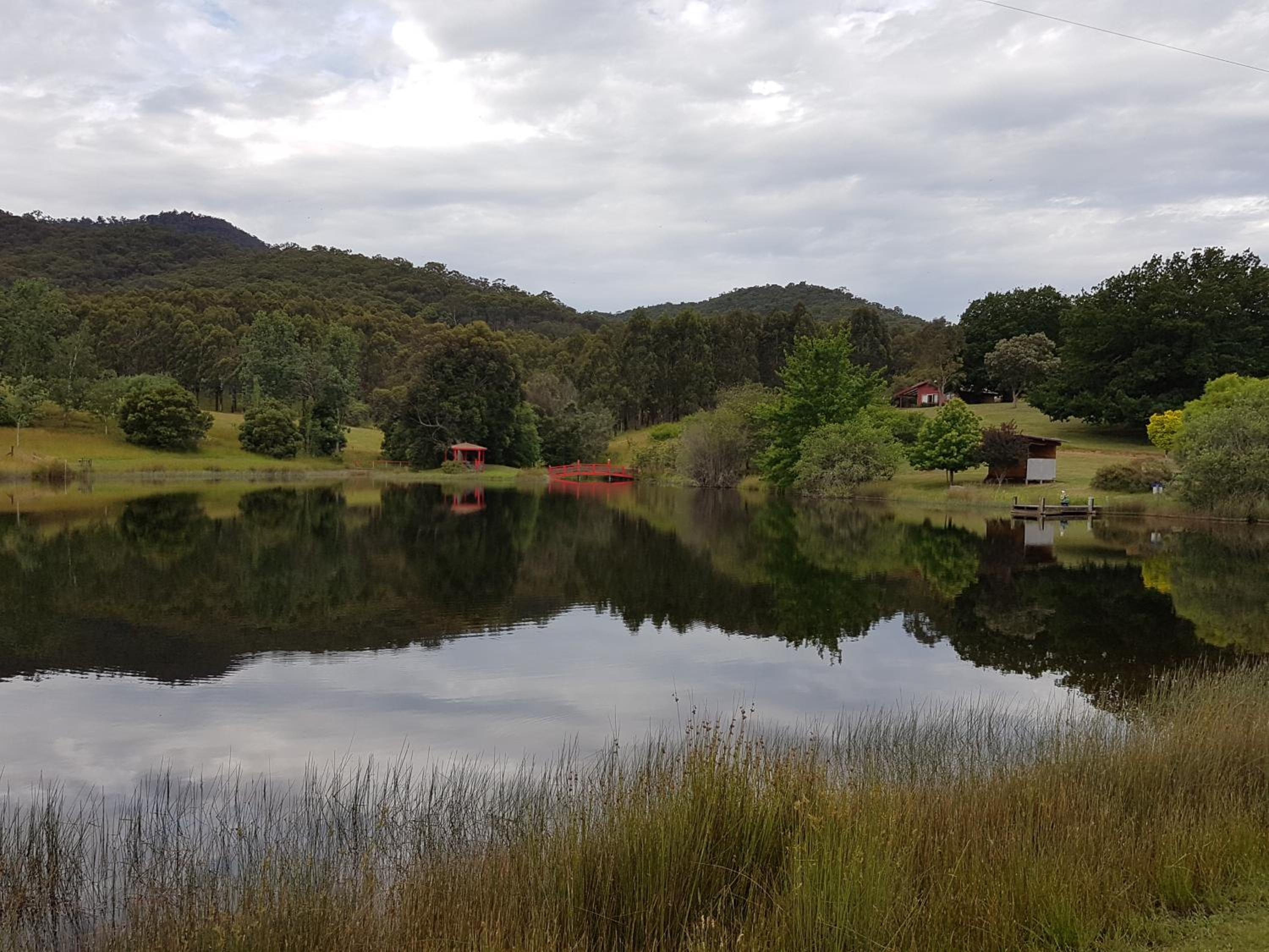 Jamieson Valley Retreat view 5
