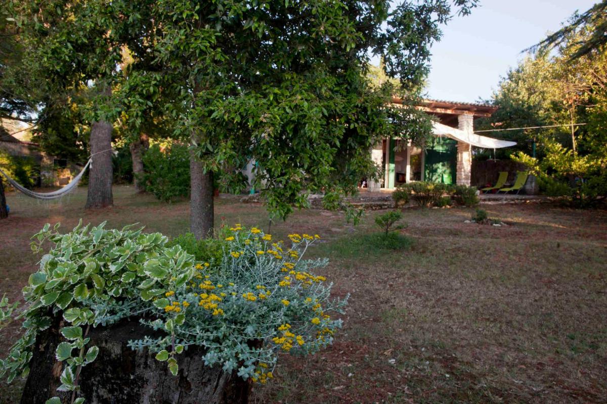 Holiday Home Dajla 35 view 5