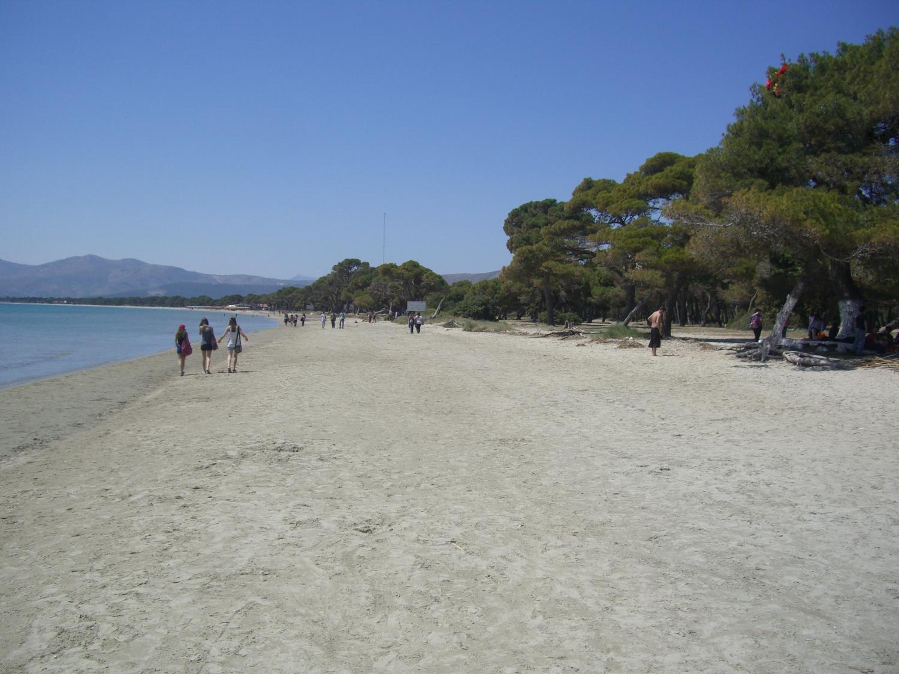 Photo 48