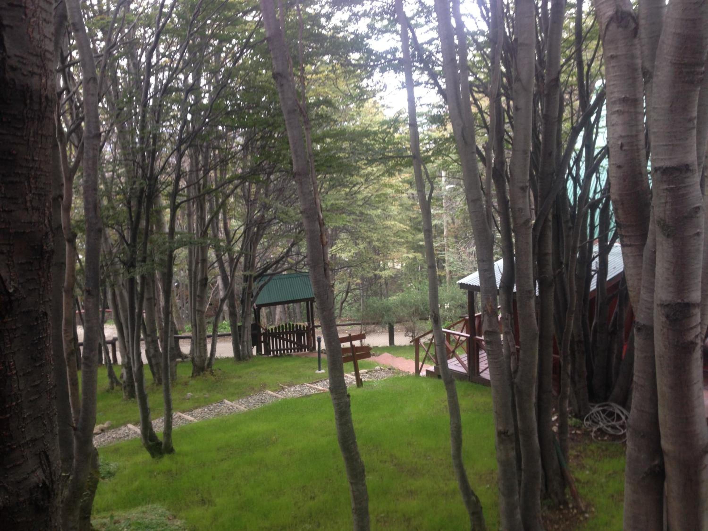 Cabañas Bosque Del Faldeo