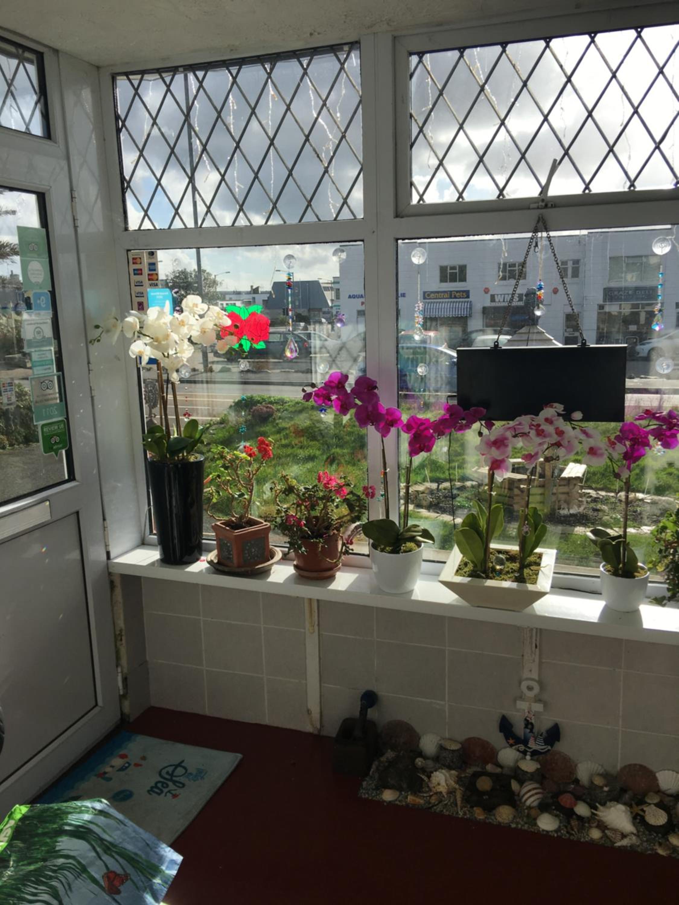 Jasmine House