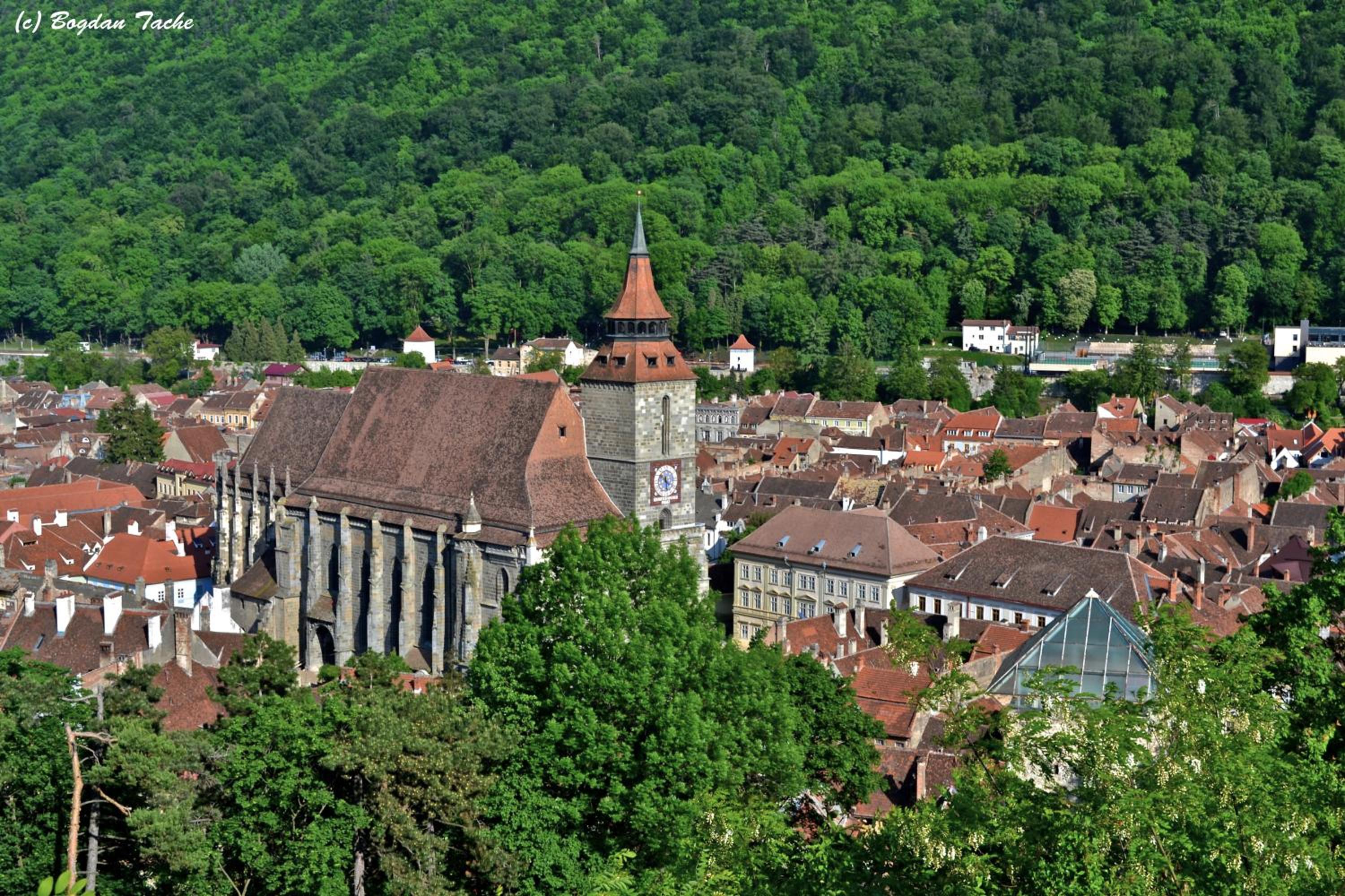 Photo 28