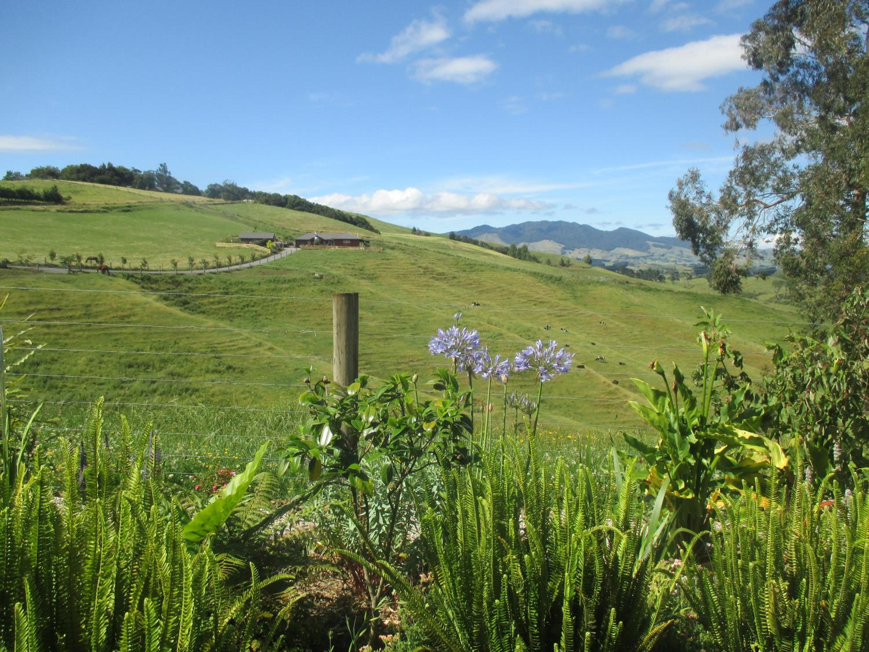 Kauri Lodge Karapiro