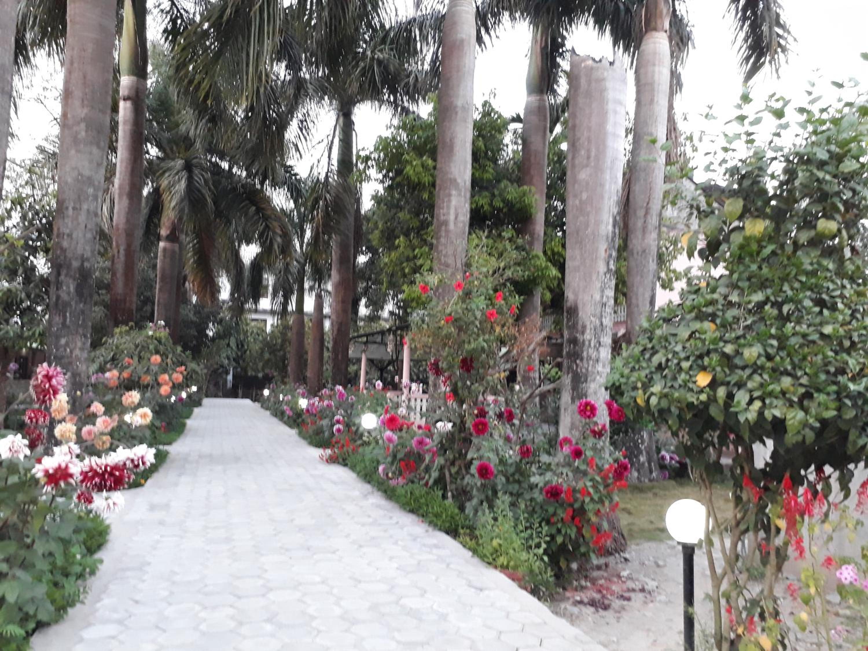 Sauraha Resort
