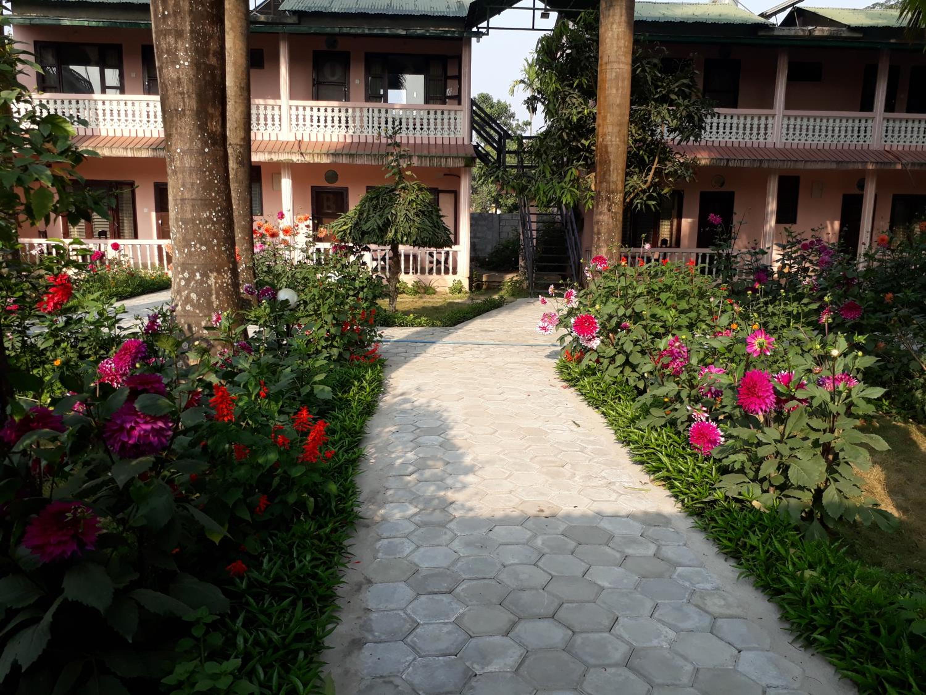 Sauraha Resort