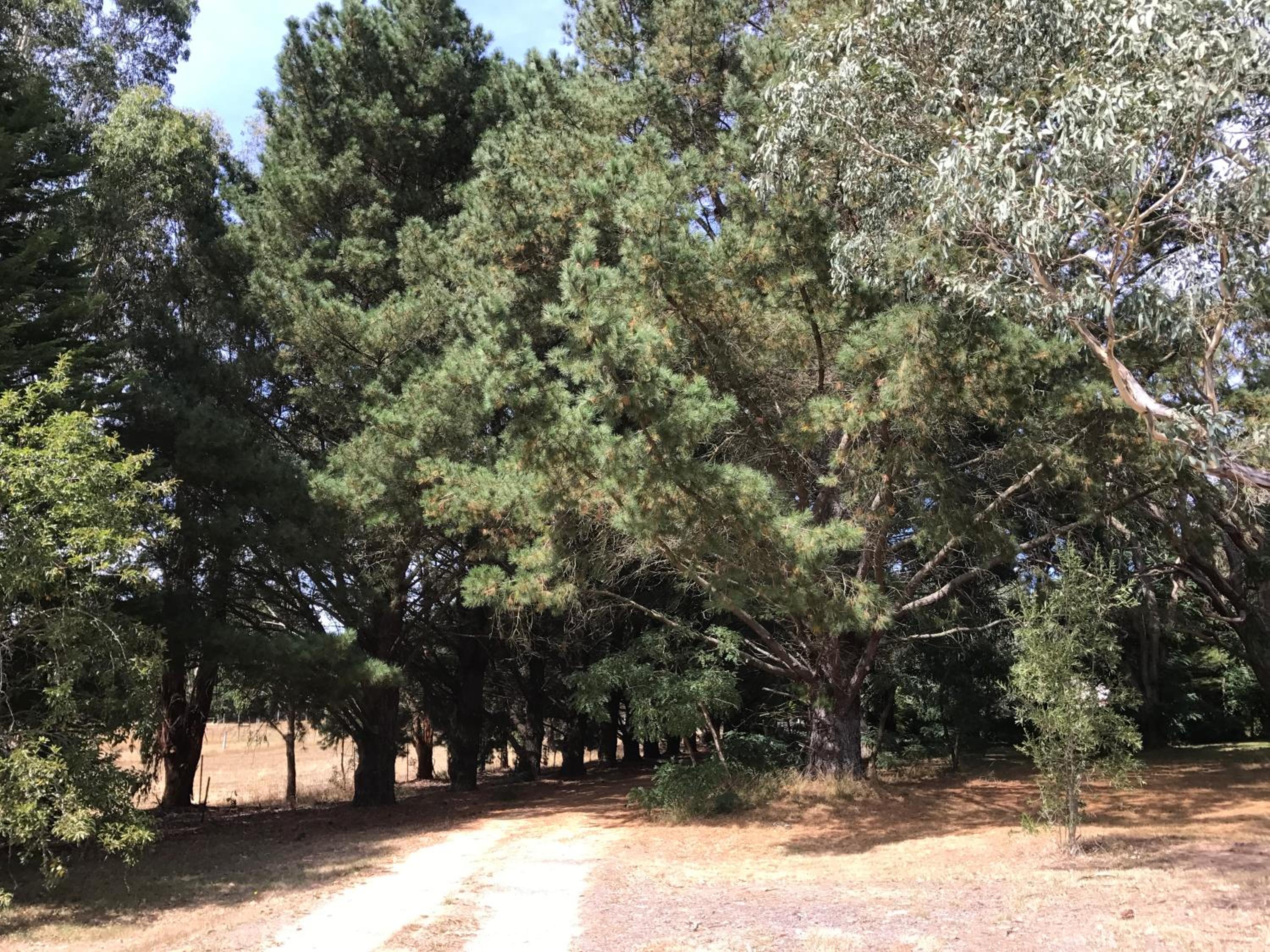 Helen's Homestead
