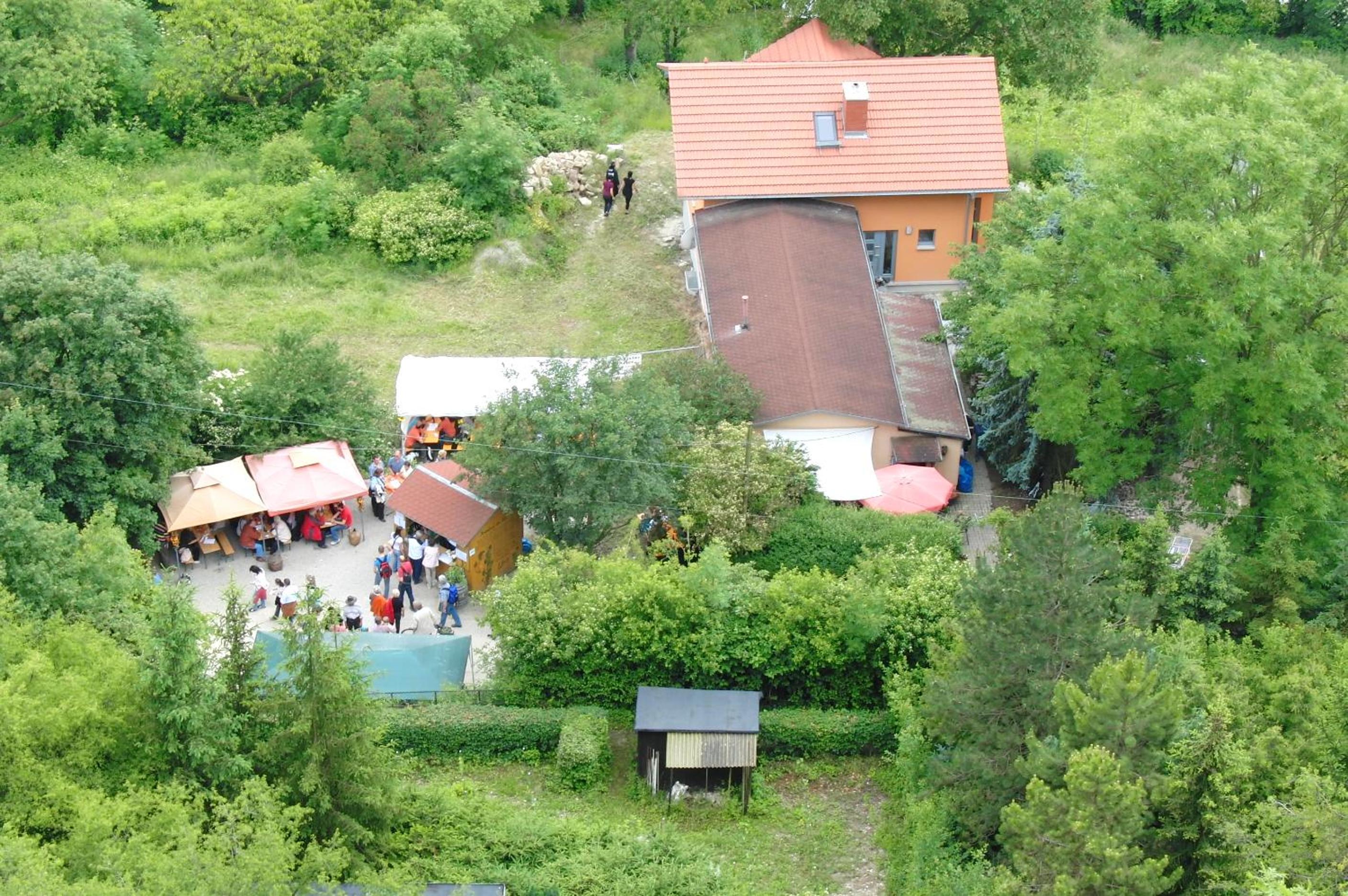 Photo 11