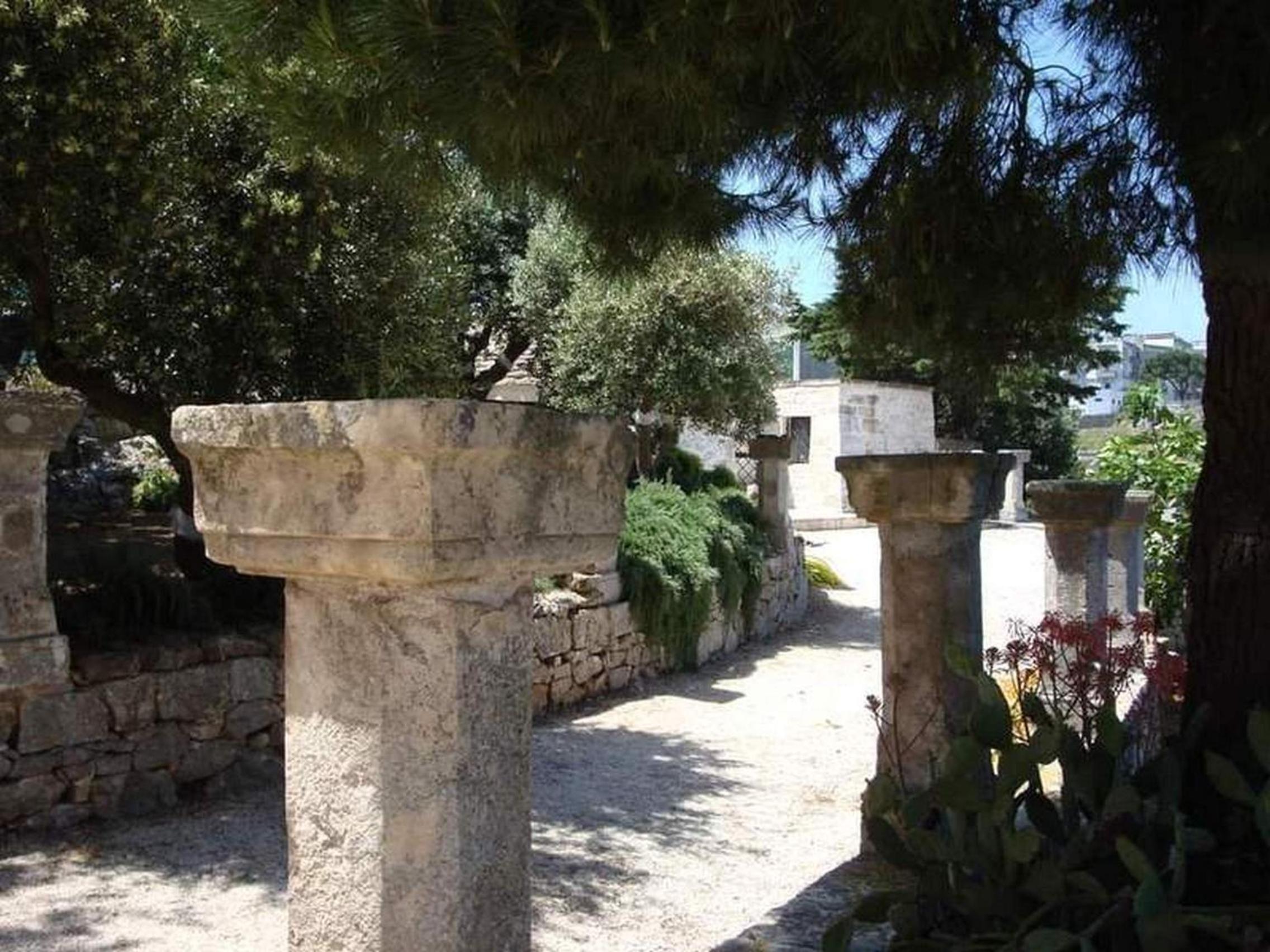 Photo 44
