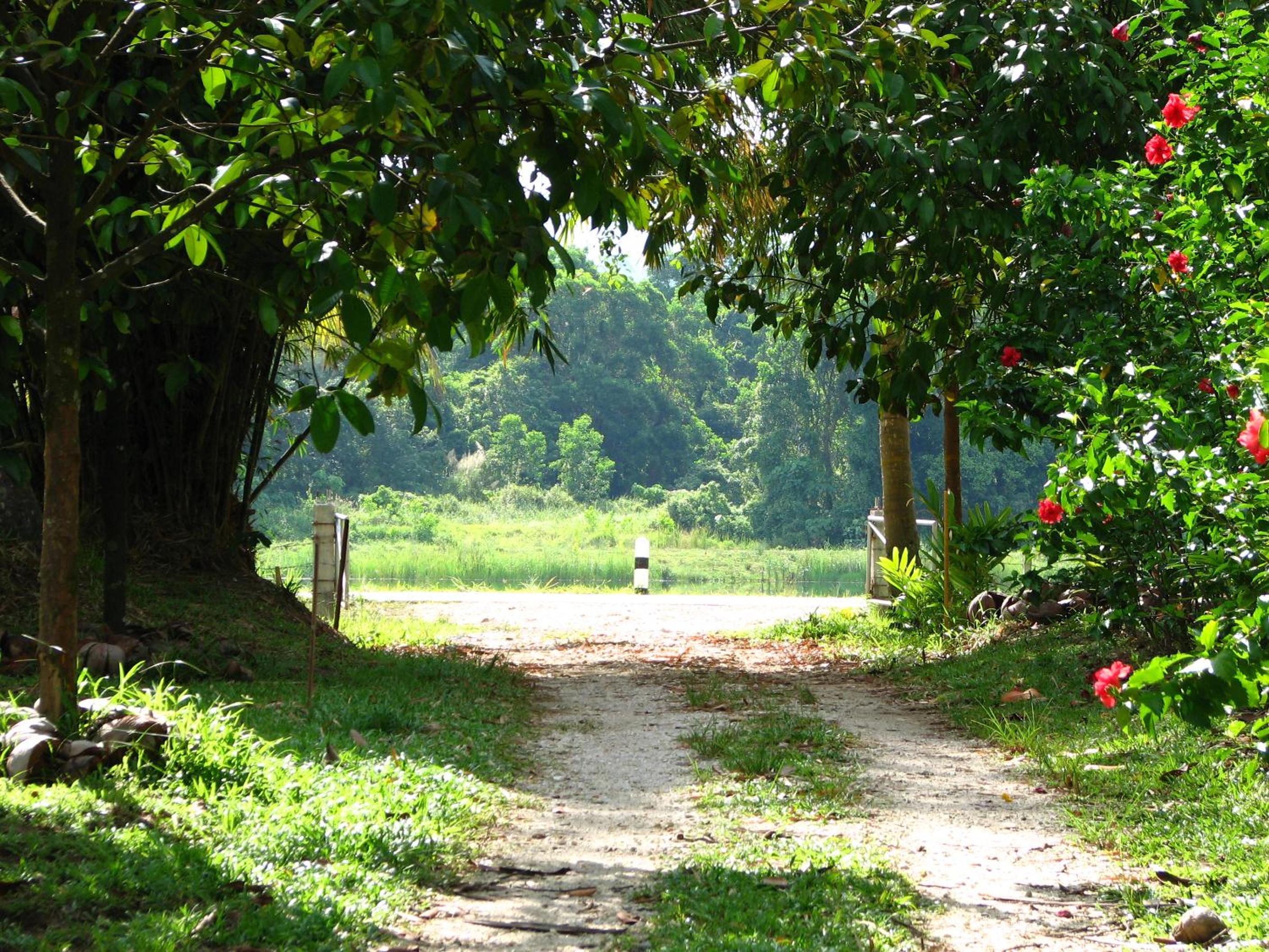 Lake View Bungalows