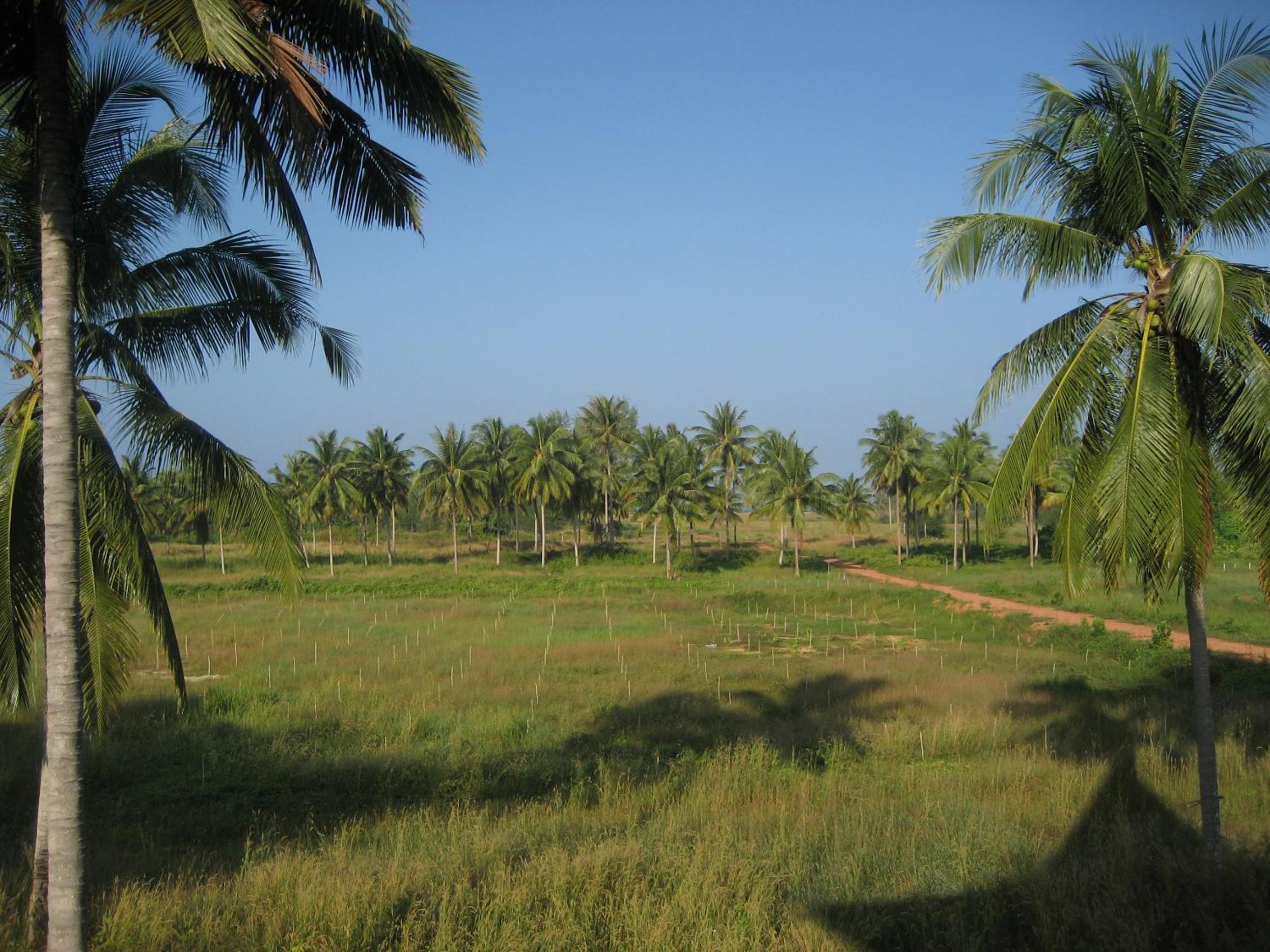 Lake View Bungalows
