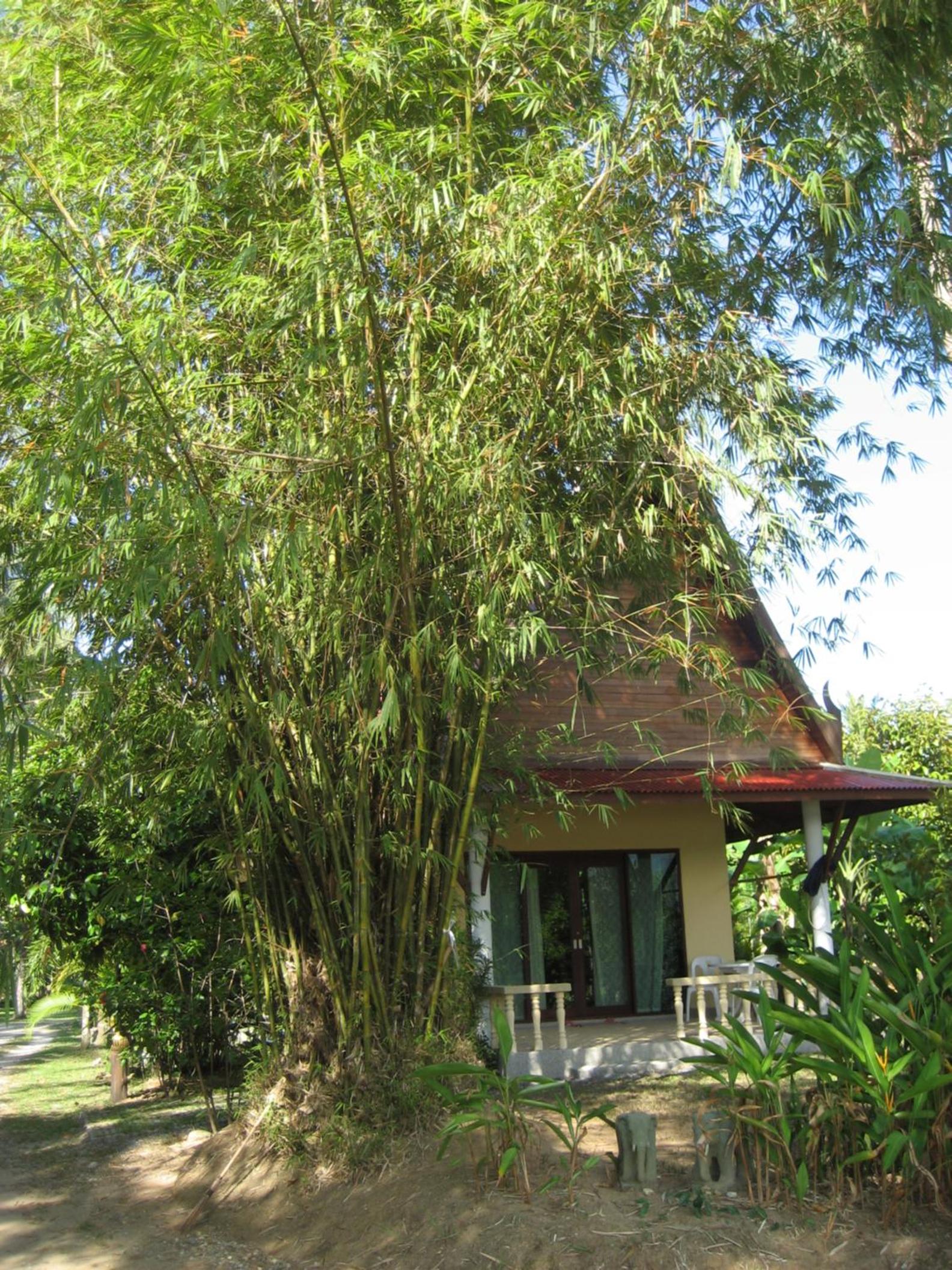 Lake View Bungalows
