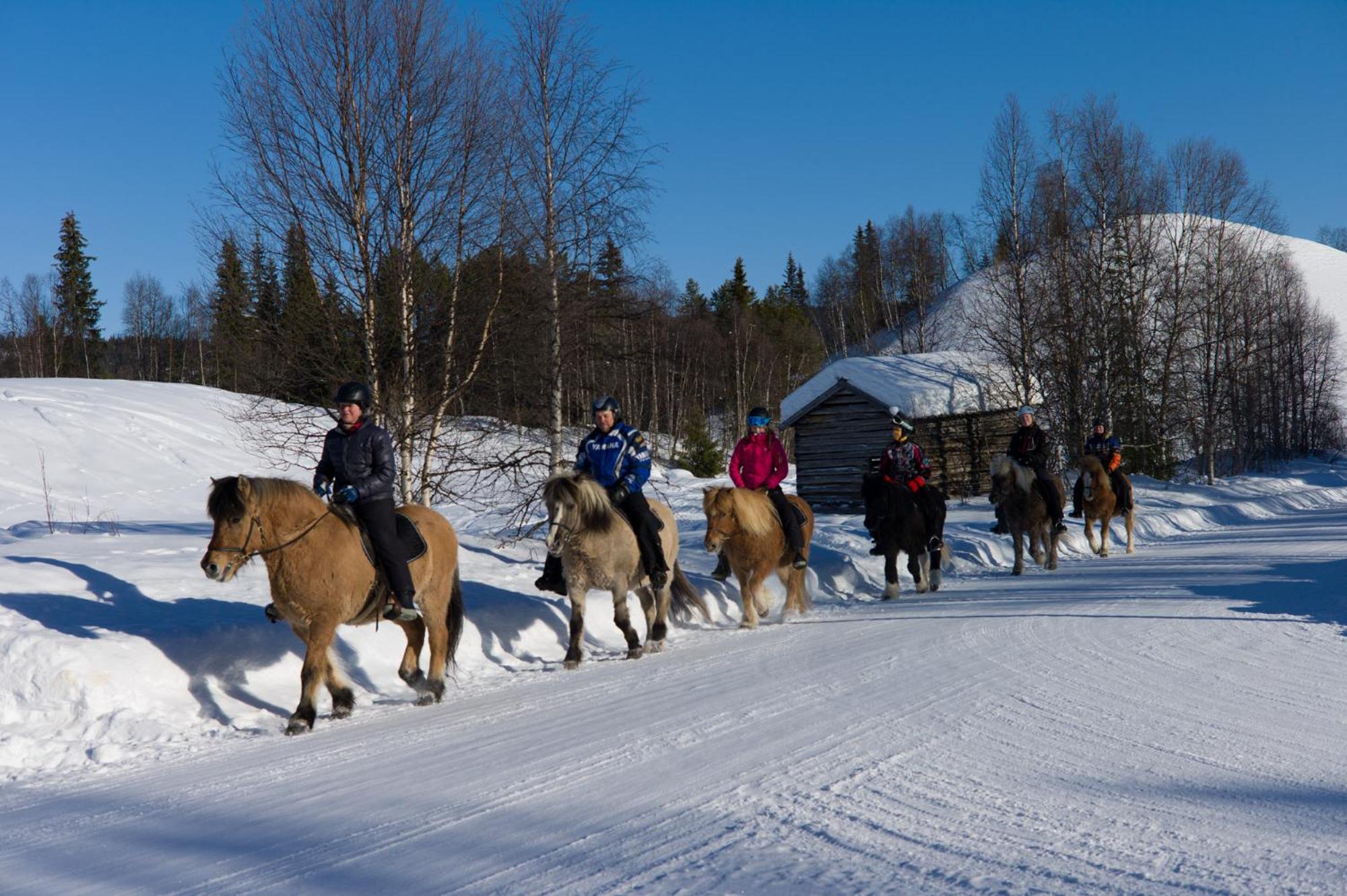 Ammarnäs Wärdshus
