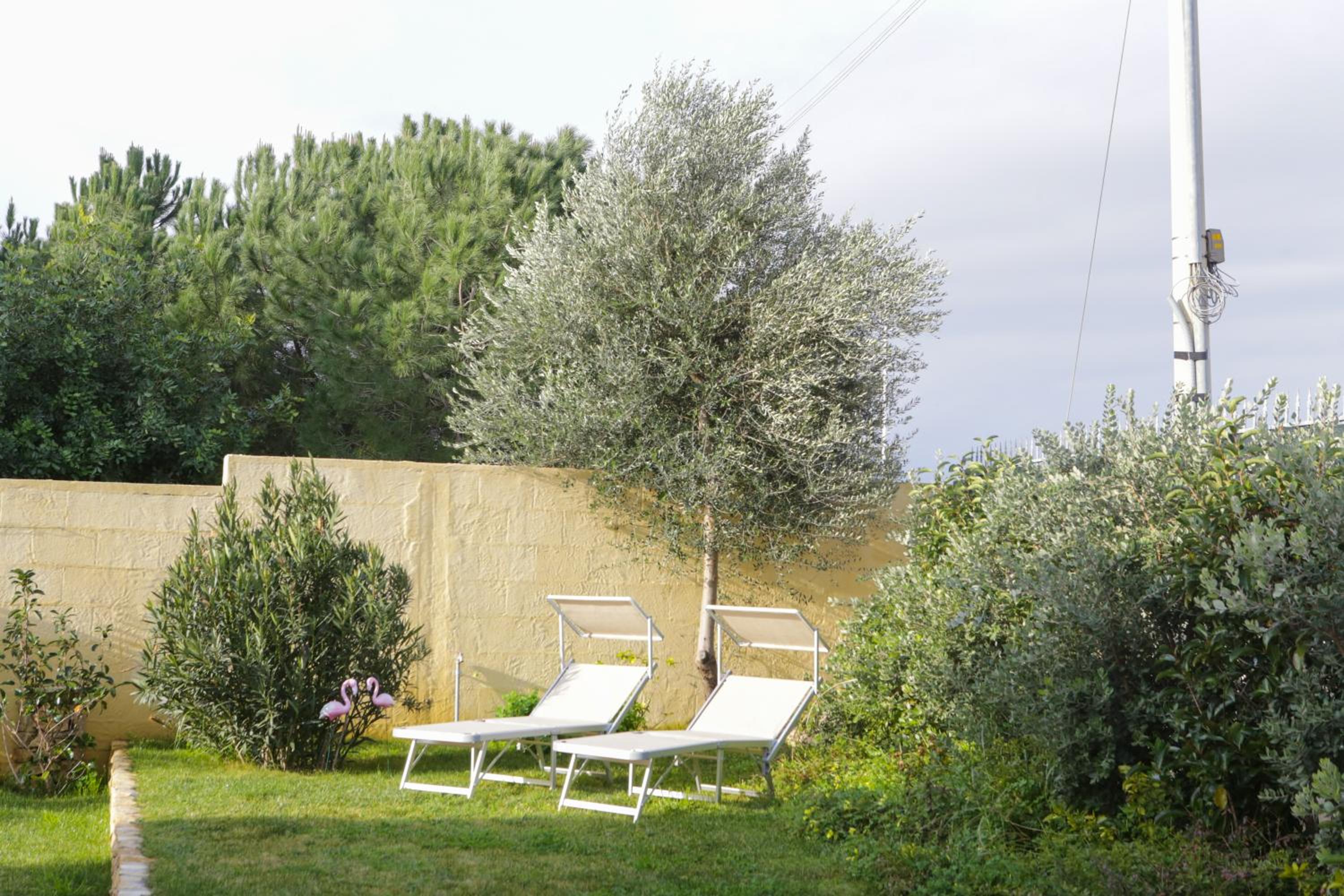 Avion B&B
