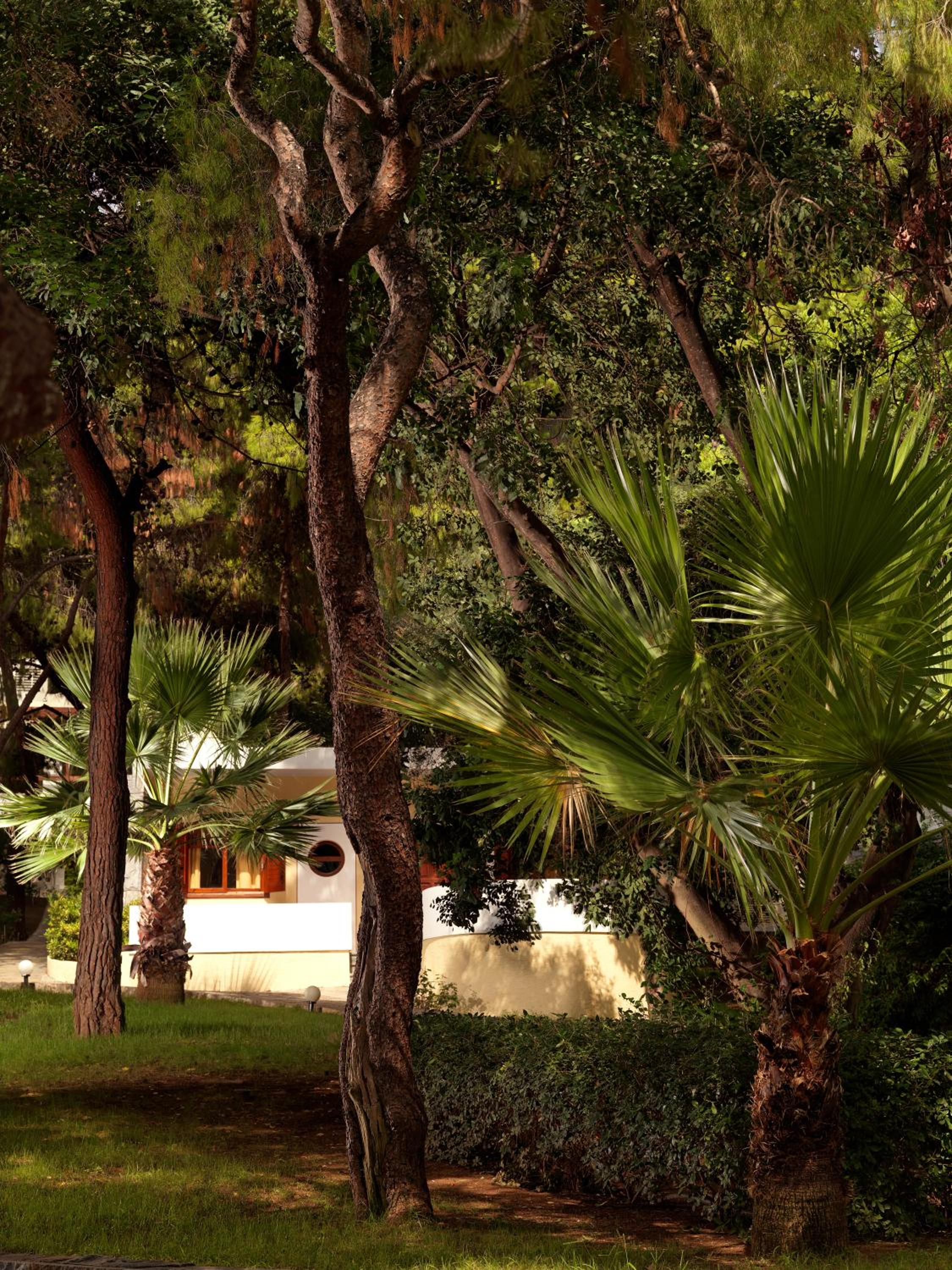 Loutraki Vacations - Wyndham Loutraki Poseidon Resort - Property Image 41
