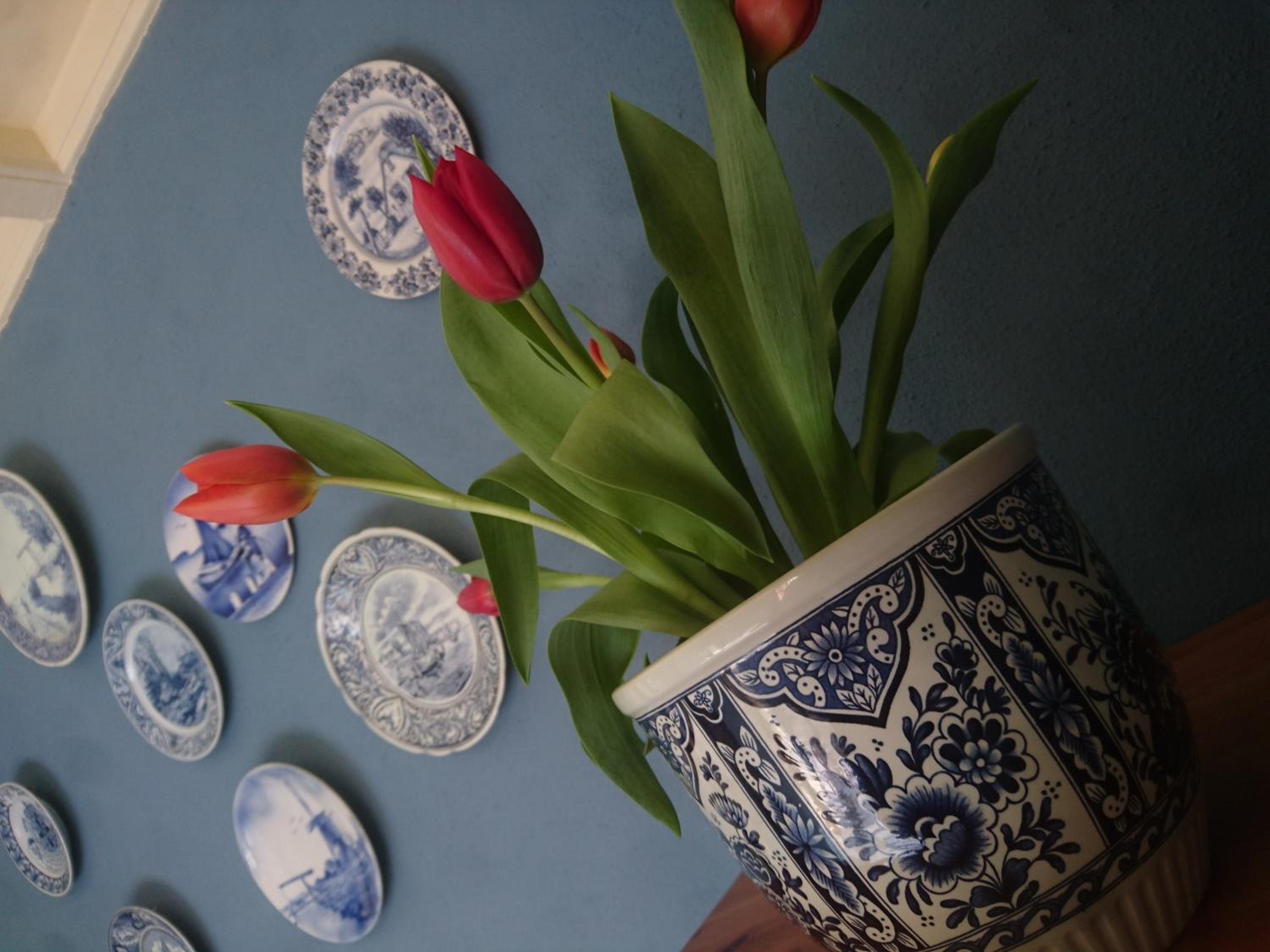 Deventer Heritage en Boutique B&B, museumhuis "De Worp", het huis met de theekoepel, logeren in authentiek historisch erfgoed