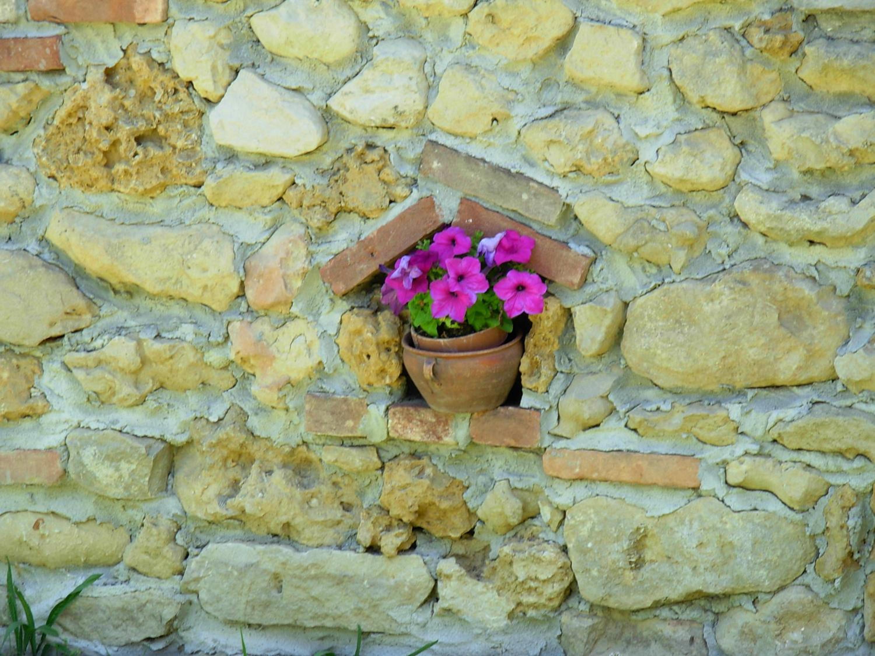 Bricco Dei Ciliegi