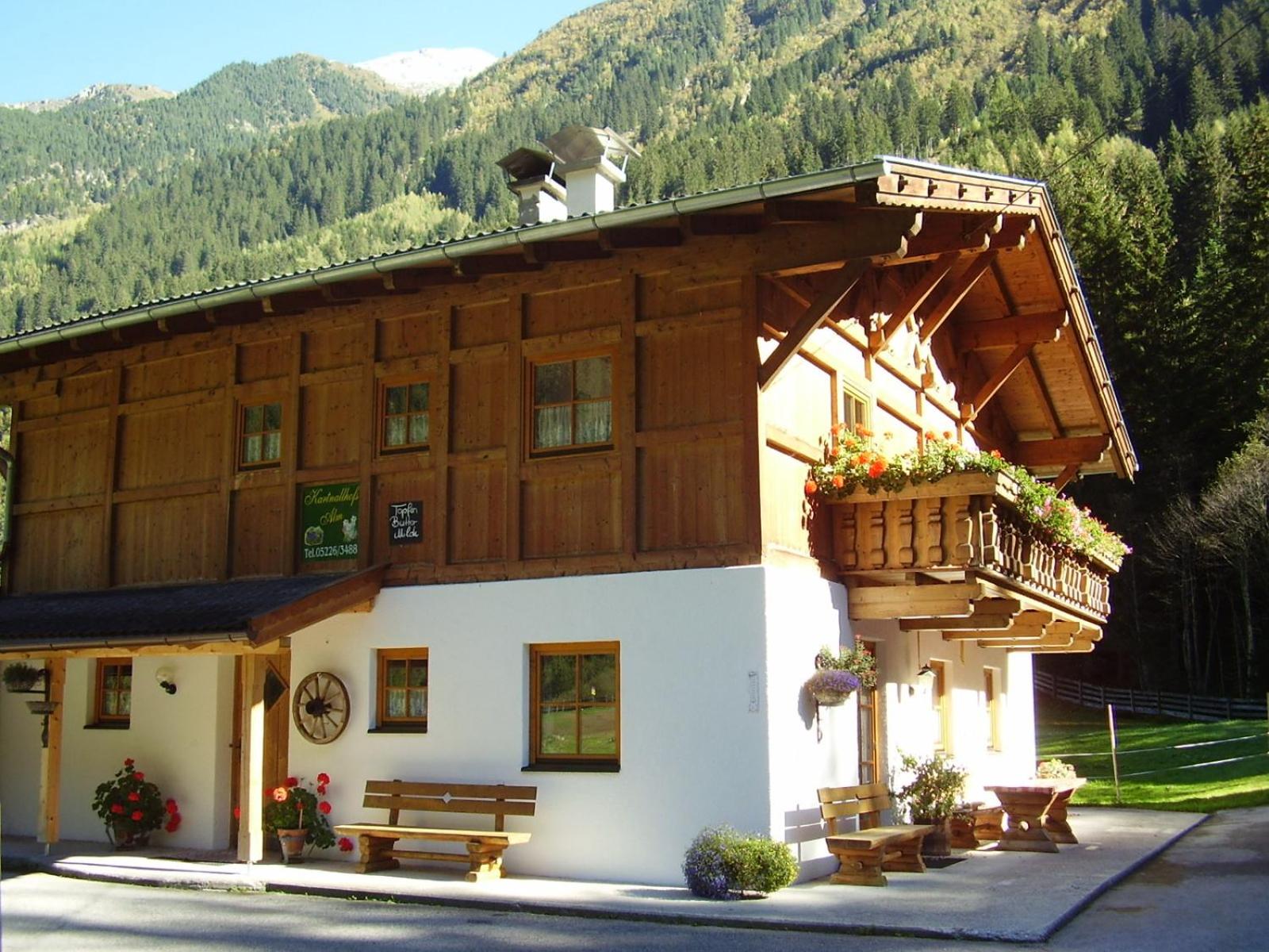 Photo 40