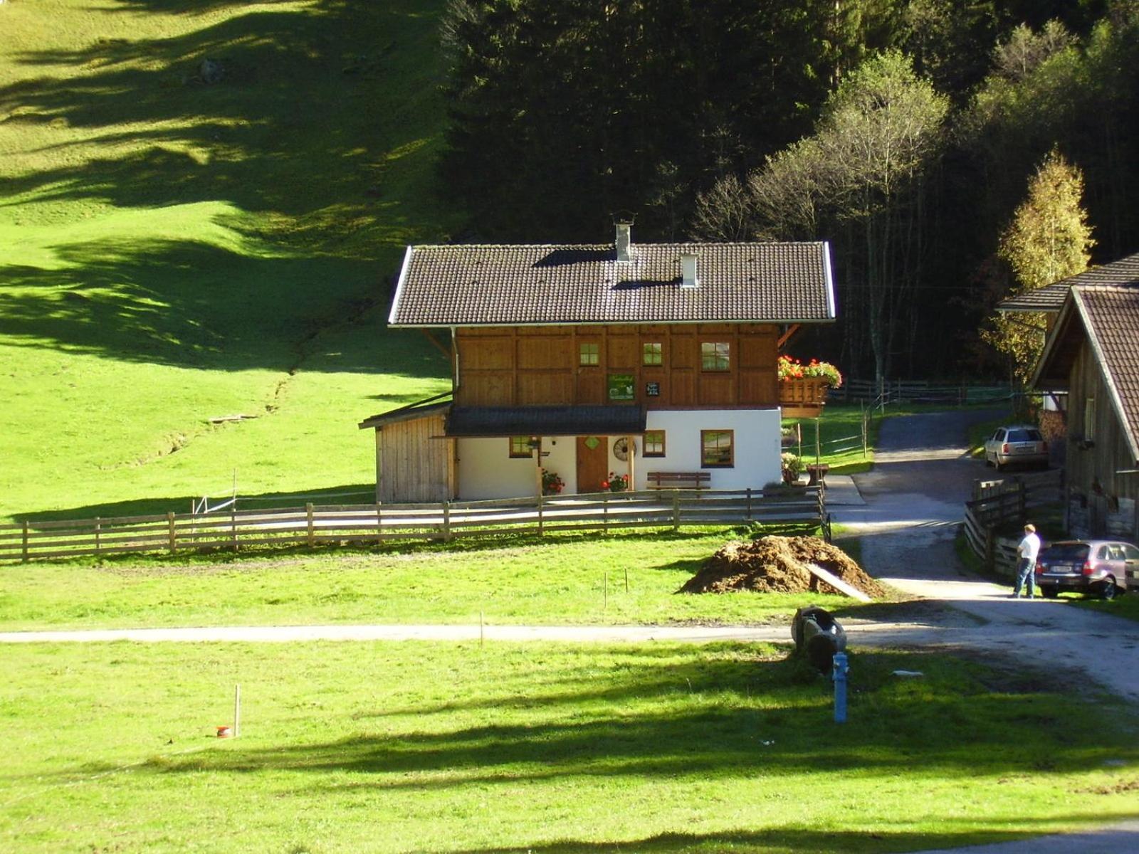 Photo 41