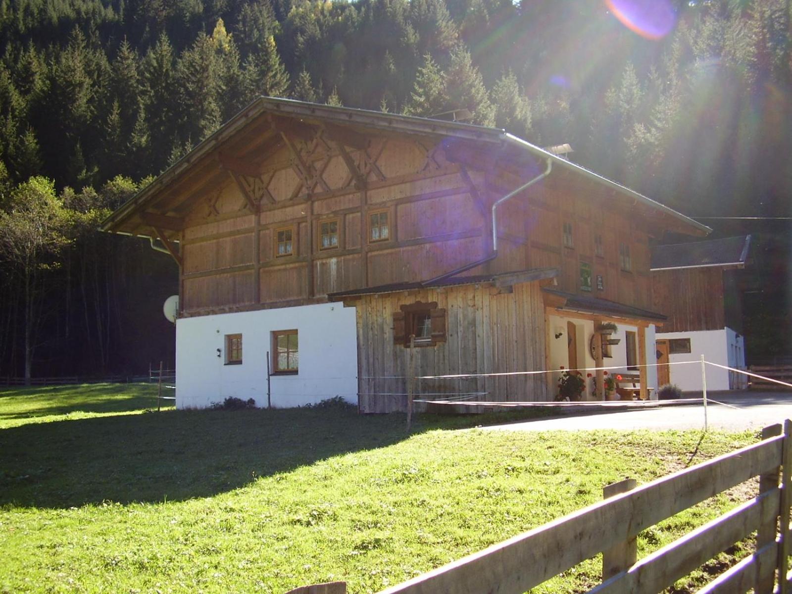 Photo 42