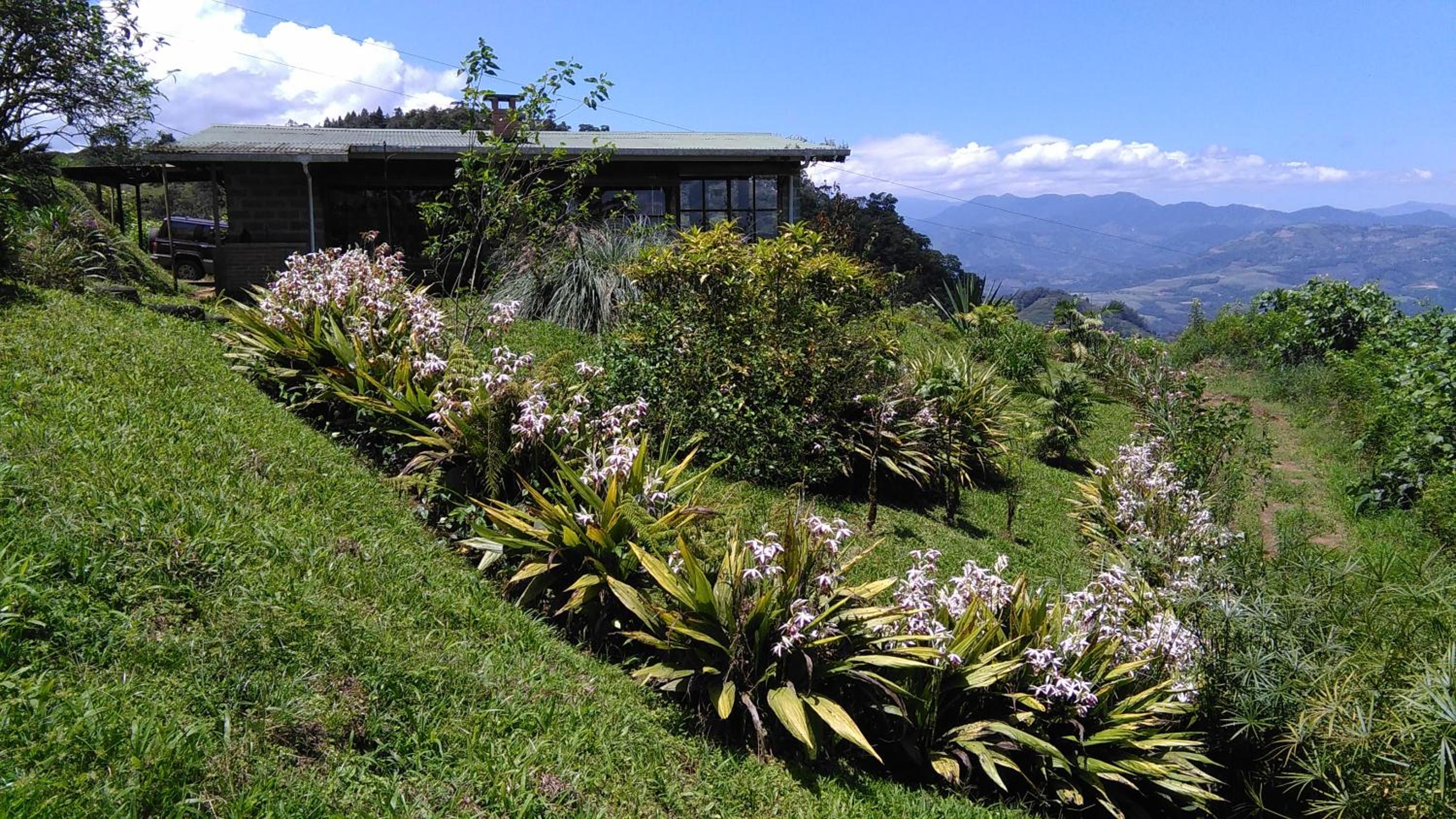 Finca Y Granja Loma Bonita view 4
