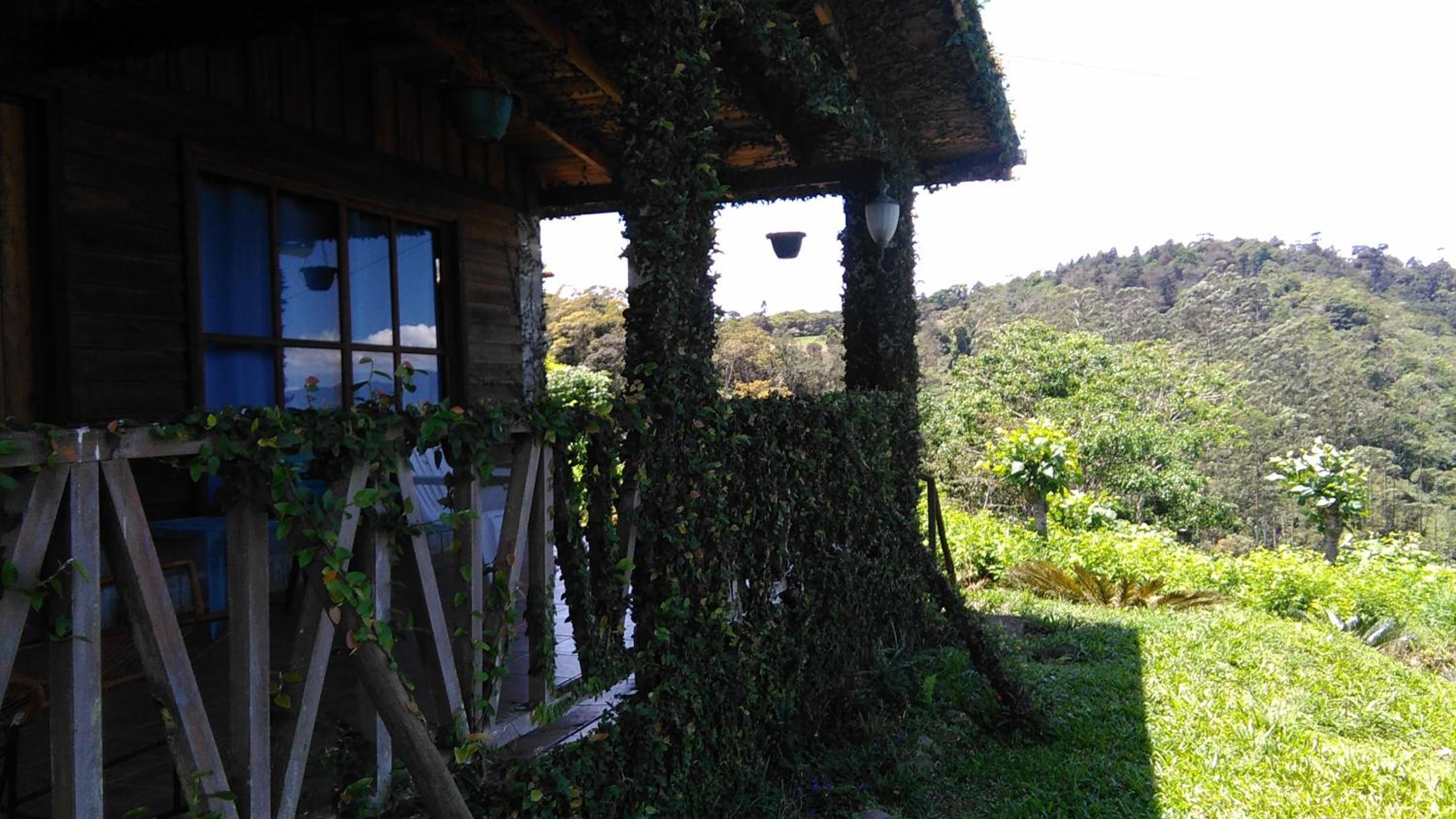 Photo 43
